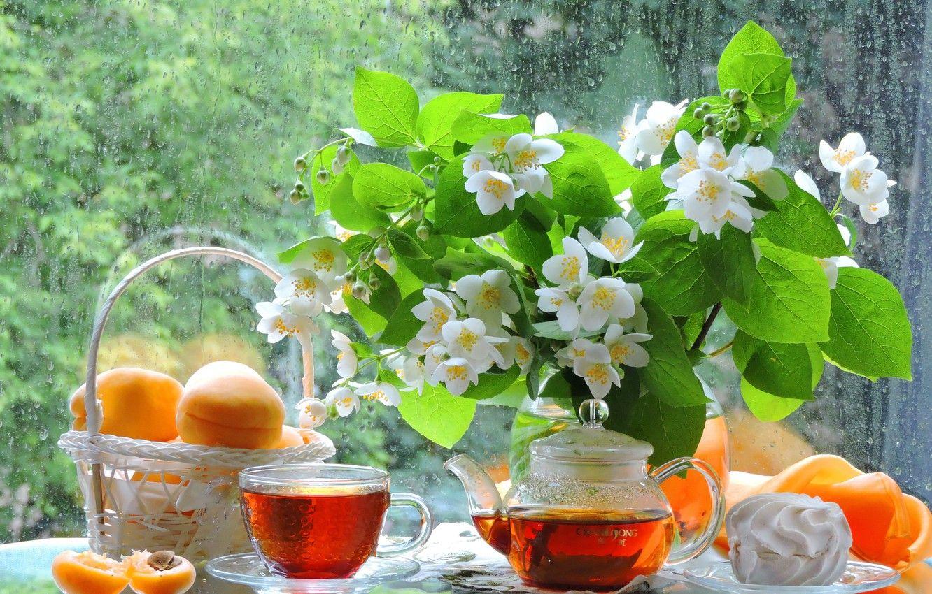 Garden Tea Party Wallpapers - Top Free Garden Tea Party Backgrounds