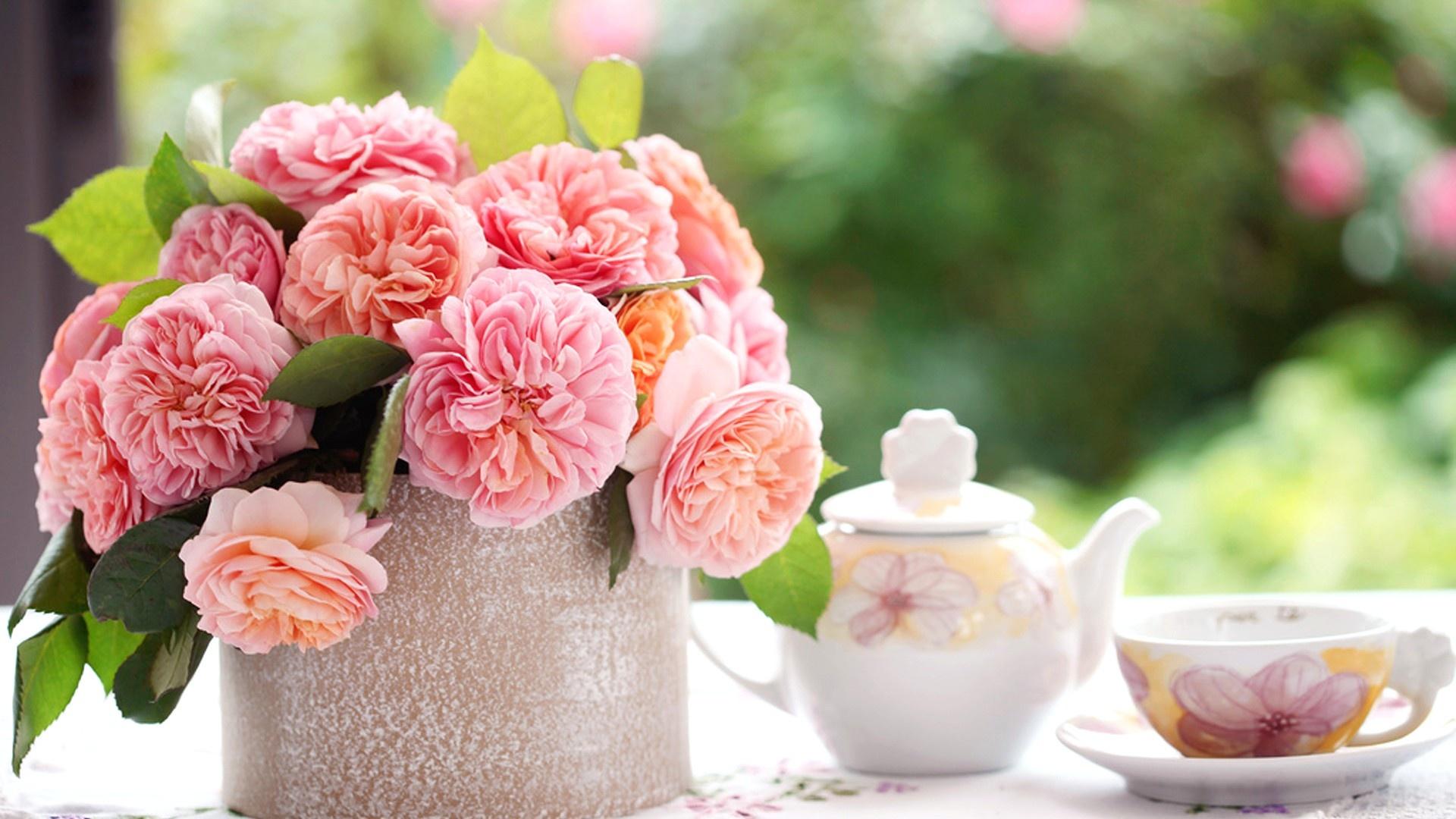 Garden Tea Party Wallpapers - Top Free Garden Tea Party Backgrounds