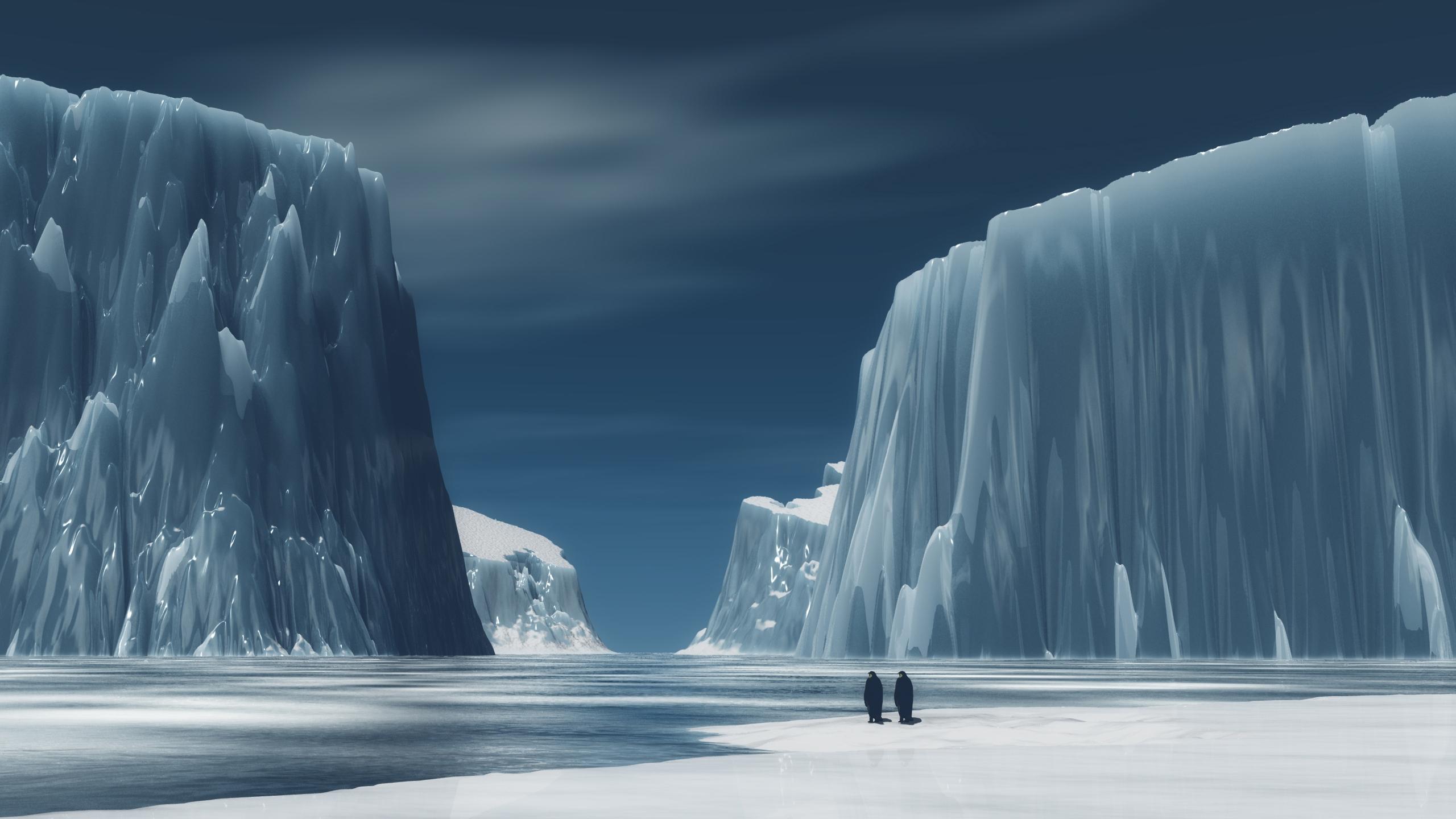 2560x1440 Download Wallpaper, Download 2560x1440 penguins icebergs the south pole 2560x1440 wallpaper People HD Wallpaper, Hi Res People Wallpaper, High Definition Wallpaper