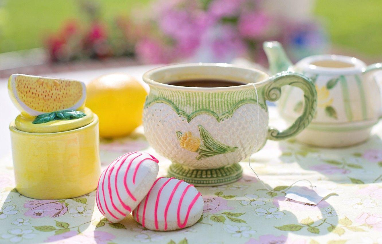 Garden Tea Party Wallpapers - Top Free Garden Tea Party Backgrounds