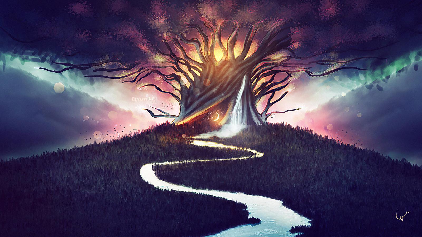 1600x900 Spiritual Prayer Tree 1600x900 Resolution HD 4k Wallpaper, Image, Background, Photo and Picture