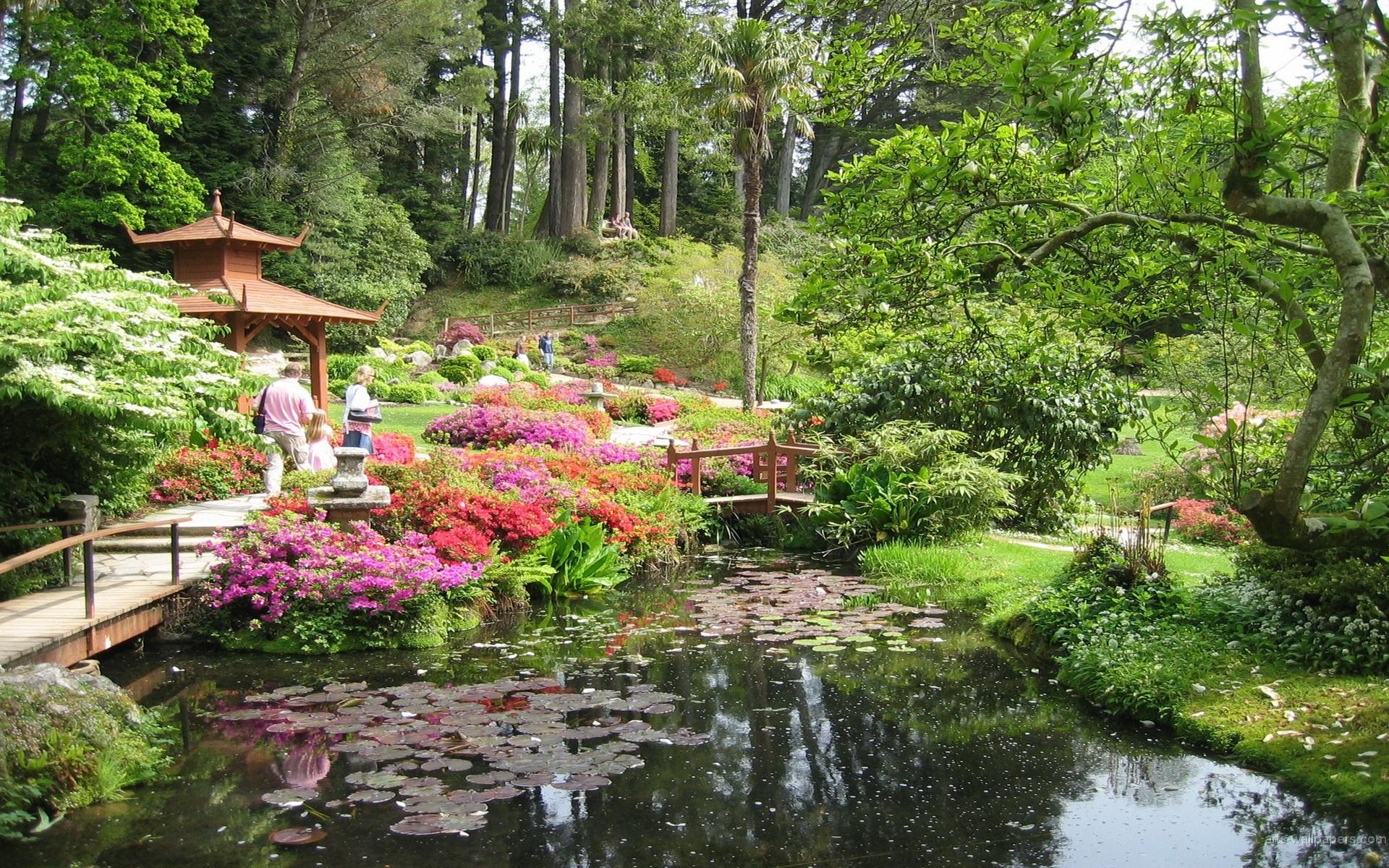 1920x1200 Free download Japanese Garden Wallpaper HD wallpaper background [1920x1200] for your Desktop, Mobile & Tablet. Explore HD Garden Wallpaper. Flower Garden Wallpaper, Rose Garden Wallpaper, Flower Garden Wallpaper for Desktop