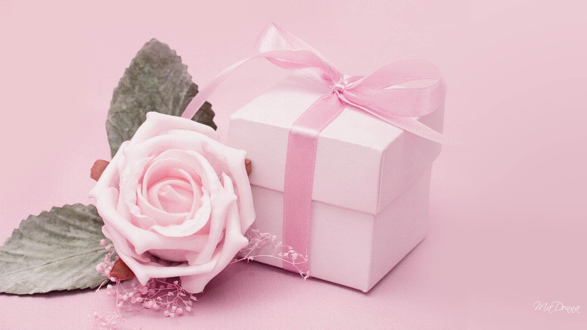 1920x1080 Free download Desktop Wallpaper Background Nature Flower Pink Japanese Funny [1920x1080] for your Desktop, Mobile & Tablet. Explore Pink Flowers Wallpaper for Desktop. Pink Flower Wallpaper, Free Pink Flower