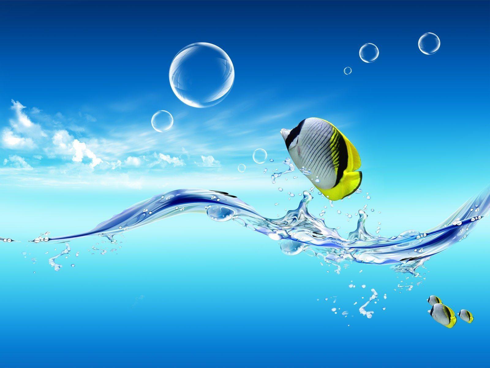 1600x1200 Professional Wallpaper