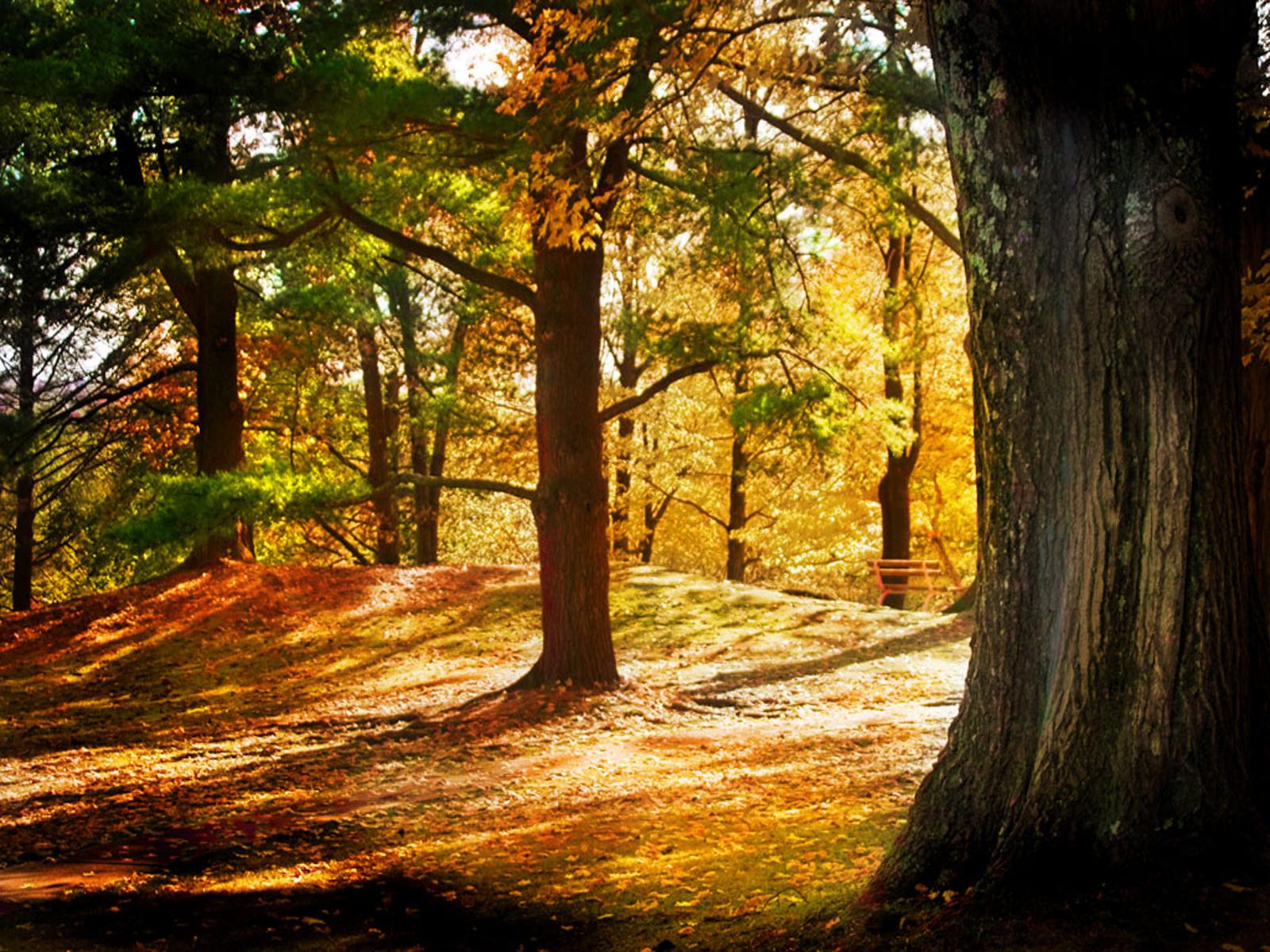 1600x1200 Wallpaper Of Nature Beauty 43665 HD Wallpaper