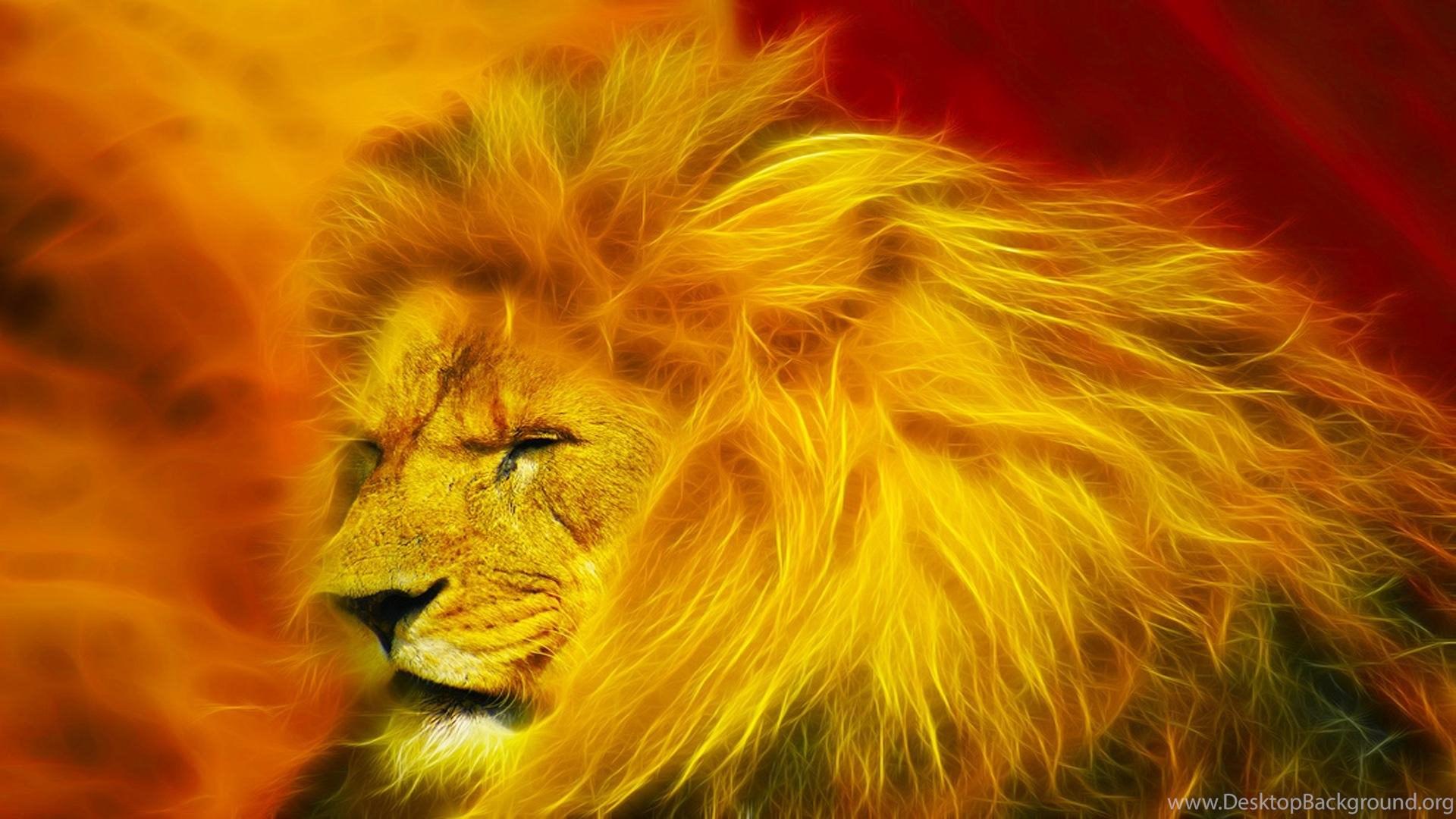 Abstract Lion HD Desktop Wallpapers Top Free Abstract Lion HD Desktop