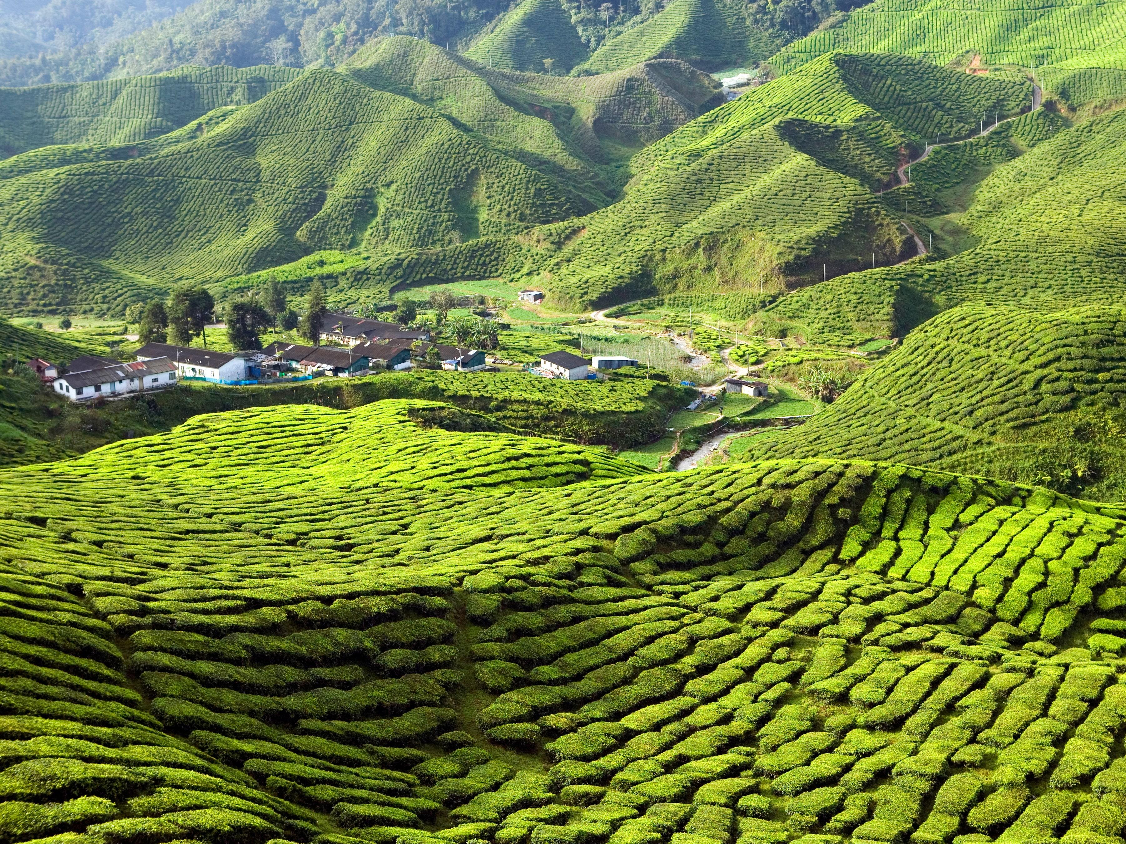 3605x2704 Beautiful Photo of Malaysia That Will Make You Want to Visit. Condé Nast Traveler