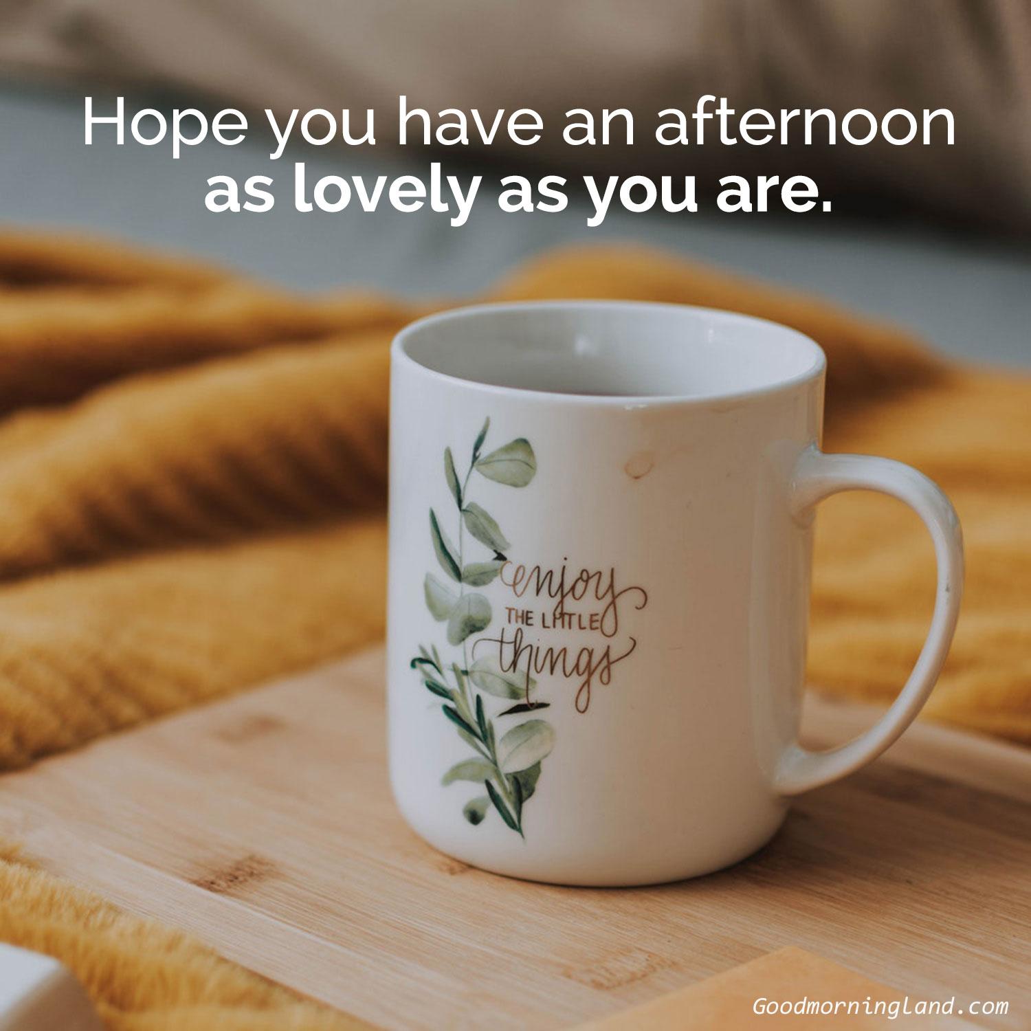 1500x1500 Beautiful Good Afternoon Image for the beautiful person Morning Image, Quotes, Wishes, Messages, greetings & eCards