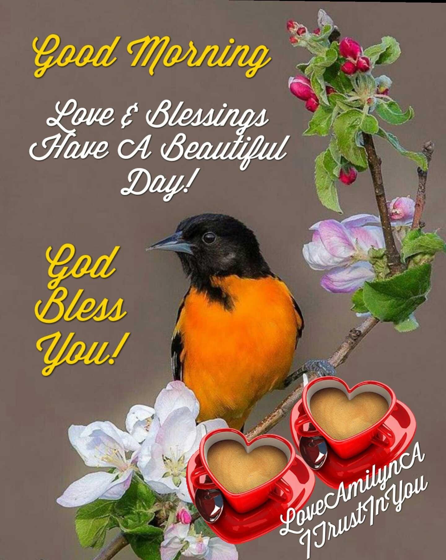 1440x1808 Love & Blessings, Have A Beautiful Day Picture, Photo, and Image for Facebook, Tumblr, Pinterest, and Twitter