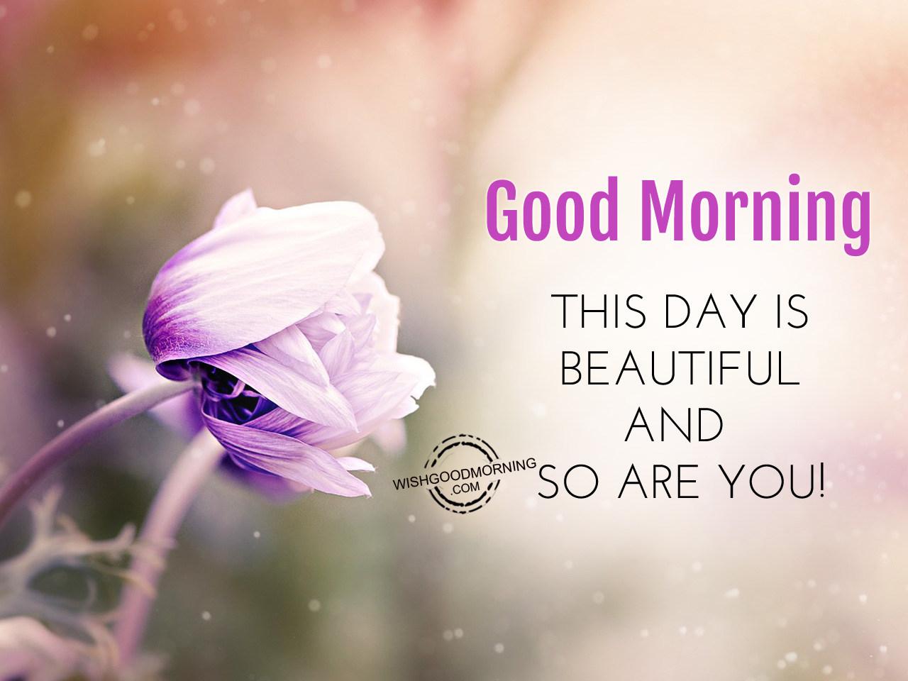 1280x960 This Day is Beautiful and So Are You Morning Picture