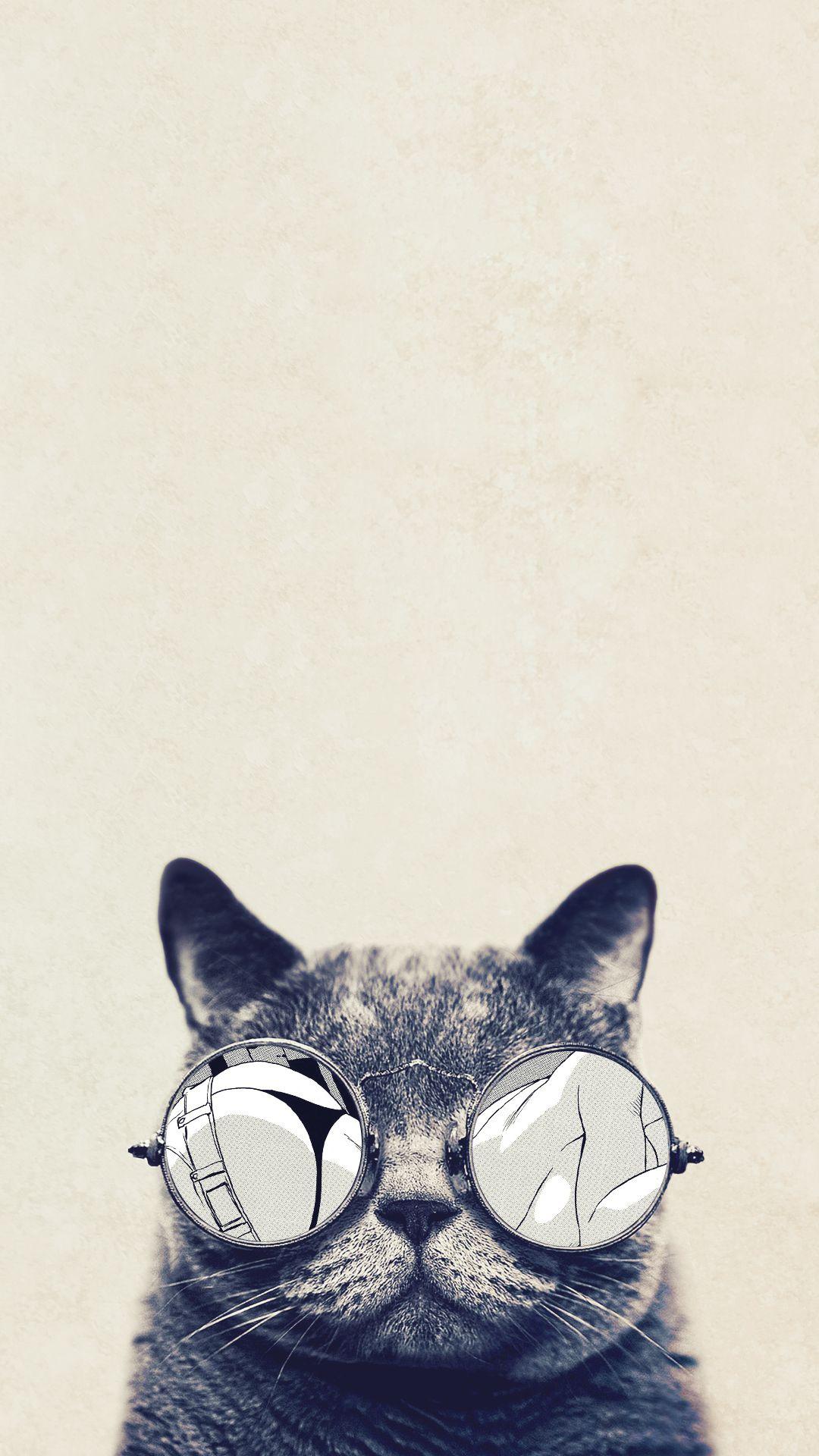 Aesthetic Cat iPhone Wallpapers - Top Free Aesthetic Cat iPhone