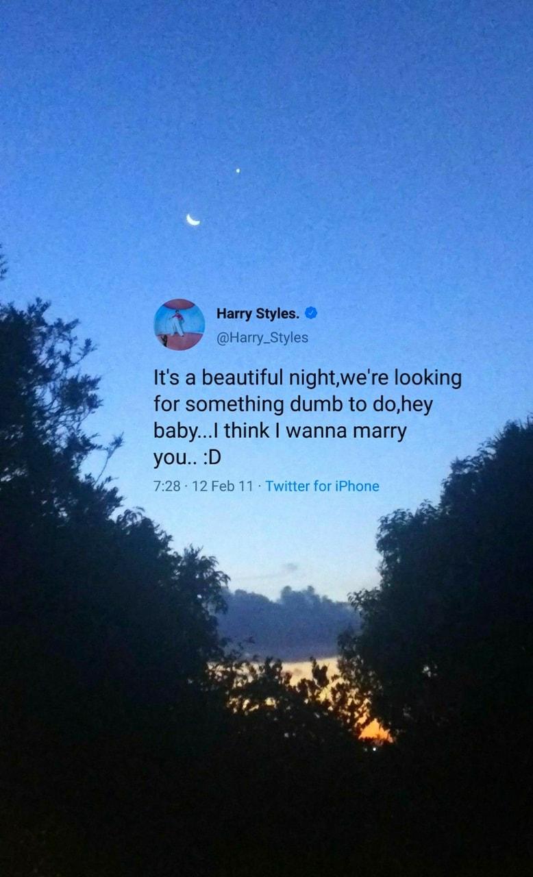 778x1280 It's a beautiful night, we're looking for something dumb to do, hey baby.I think I wanna marry you. :D Styles tweet wallpaper