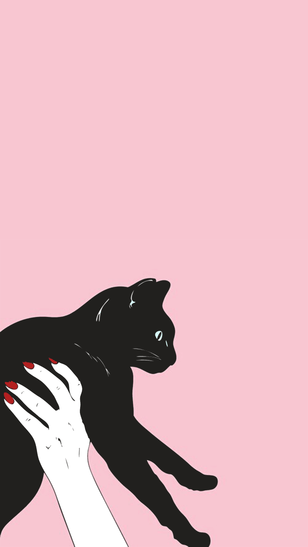 Aesthetic Cat iPhone Wallpapers - Top Free Aesthetic Cat iPhone