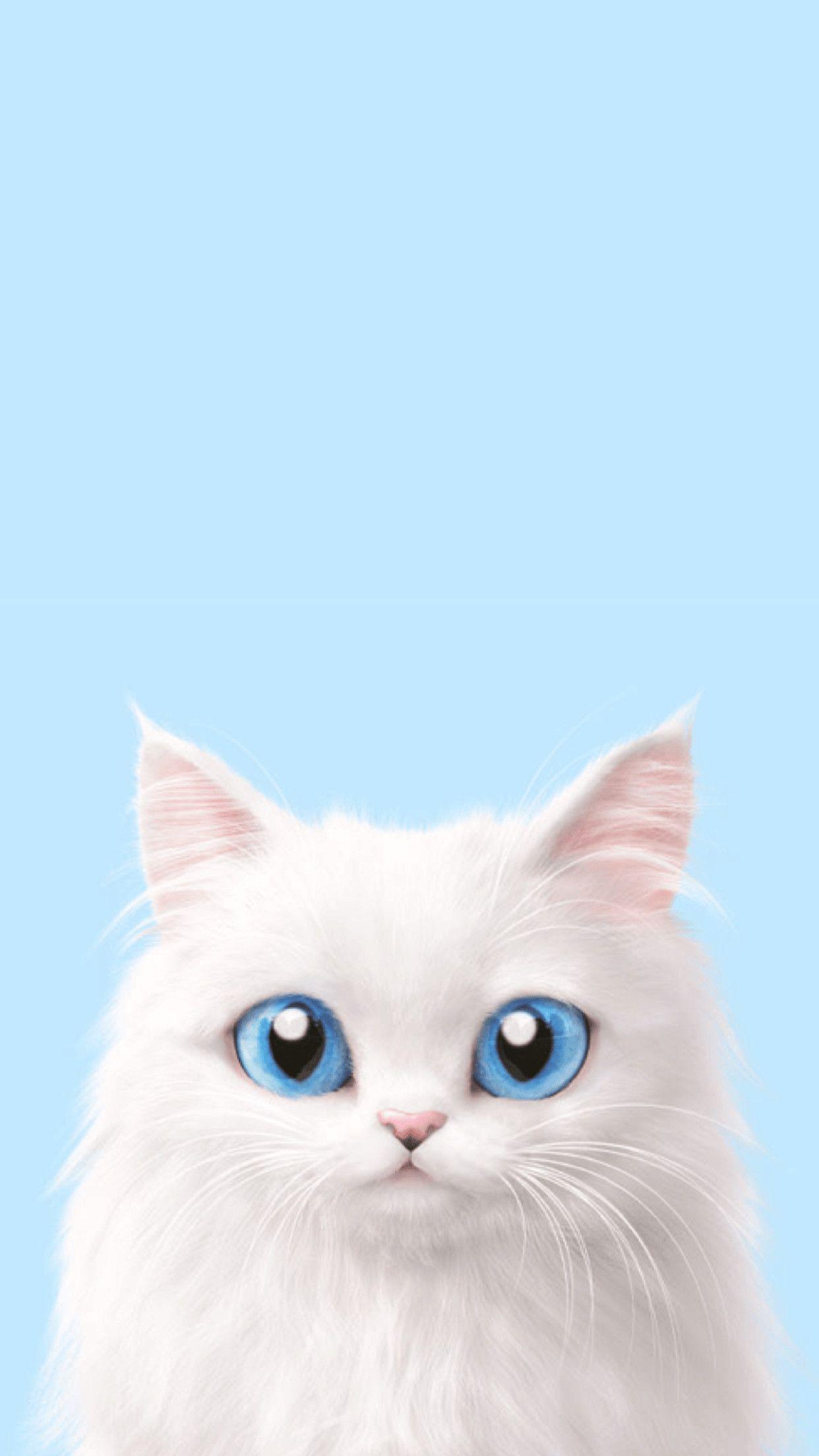 1242x2208 Cute Cat HD iPhone Wallpaper