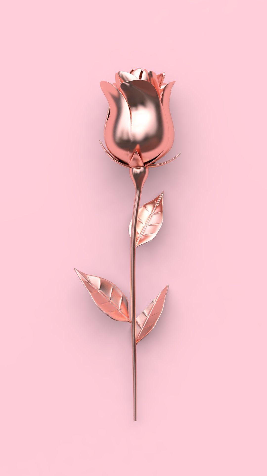 Cute for iphone rose gold HD wallpapers  Pxfuel