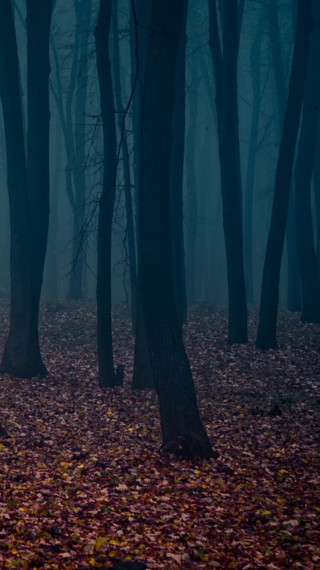 1080x1920 Spooky Autumn Forest Leafbed iPhone 6 Plus HD Wallpaper Wallpaper For Phone