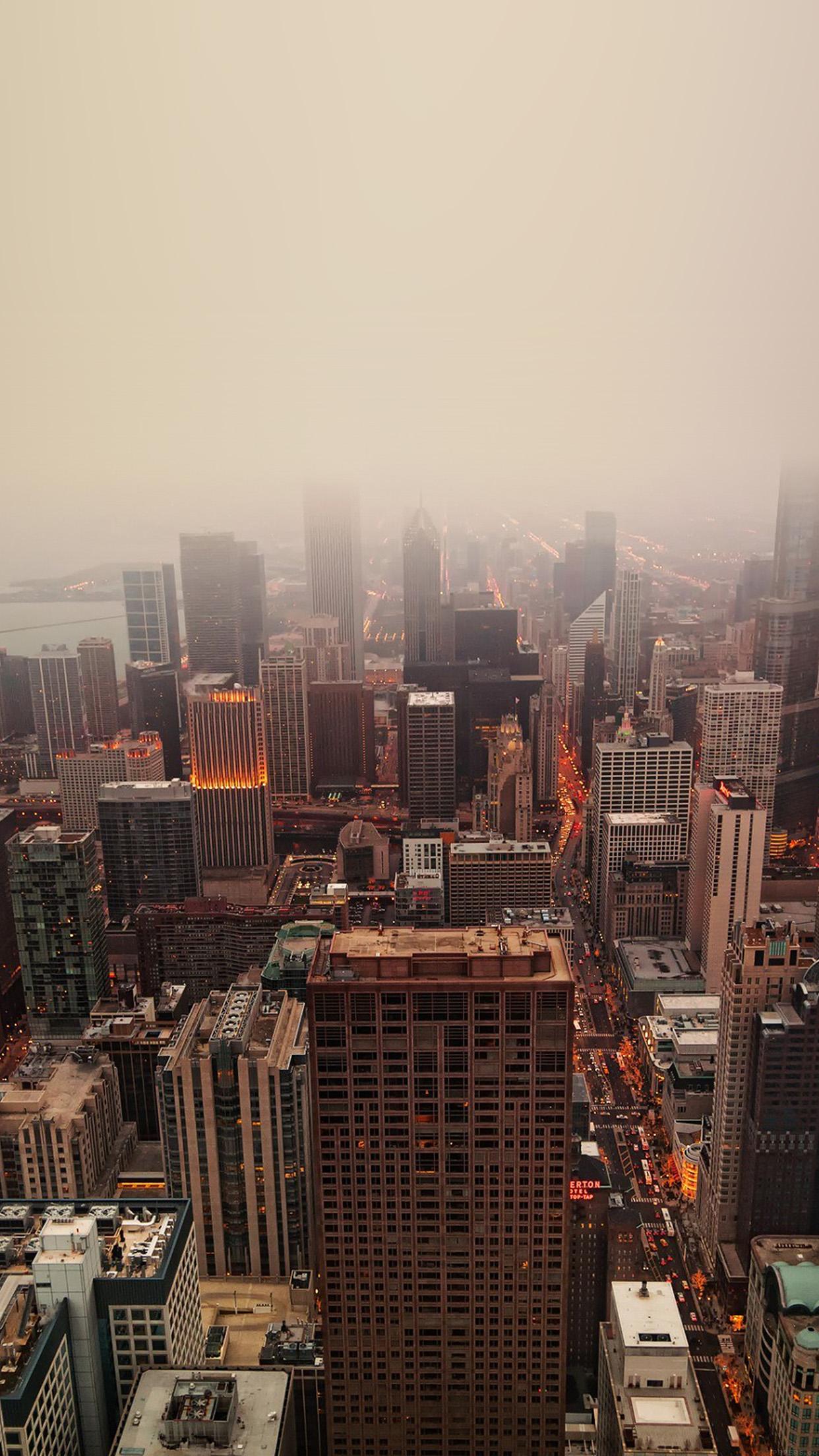 1242x2208 Chicago Skyview Skyline City Nature