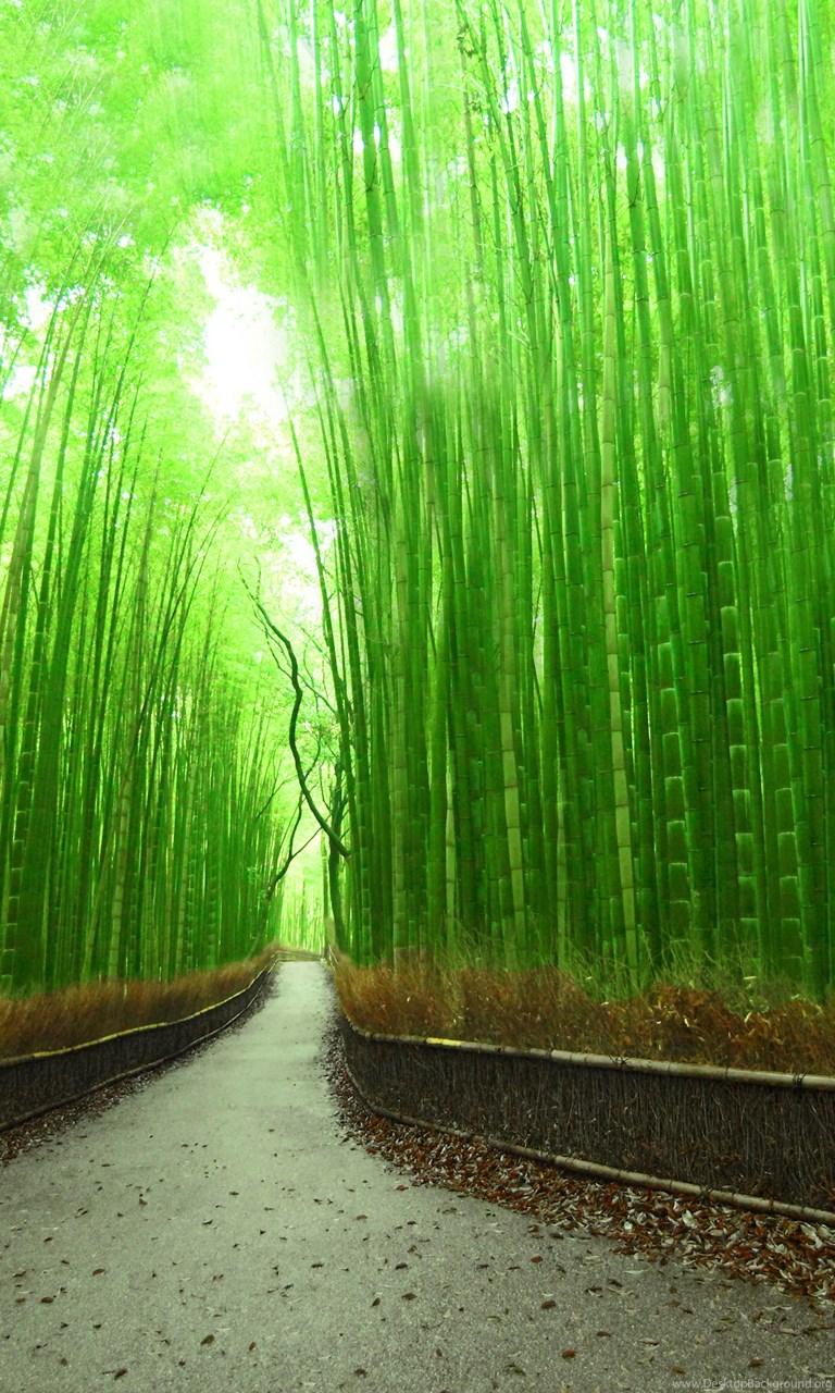 768x1280 Bamboo Forest Wallpaper Wide Ndemok.com Desktop Background