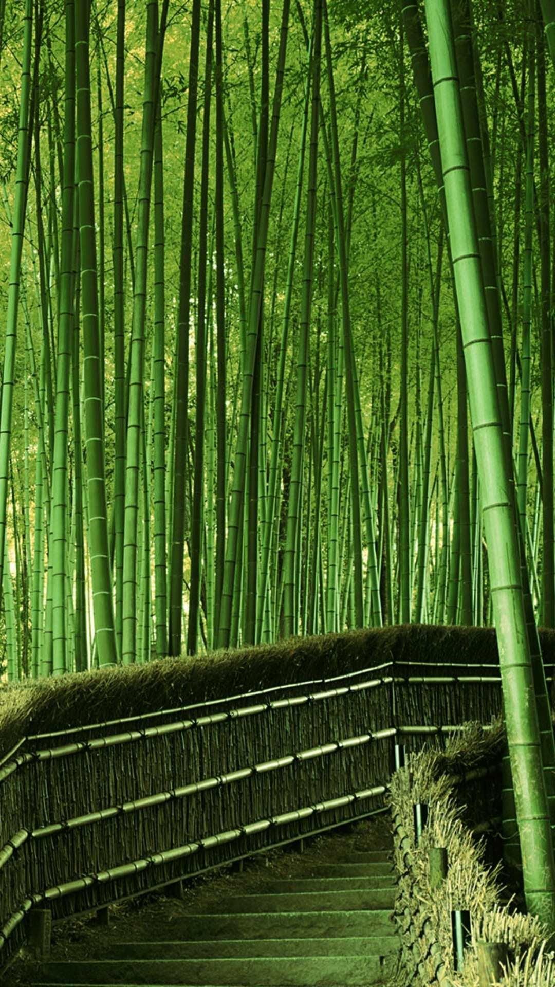 1080x1920 Bamboo forest