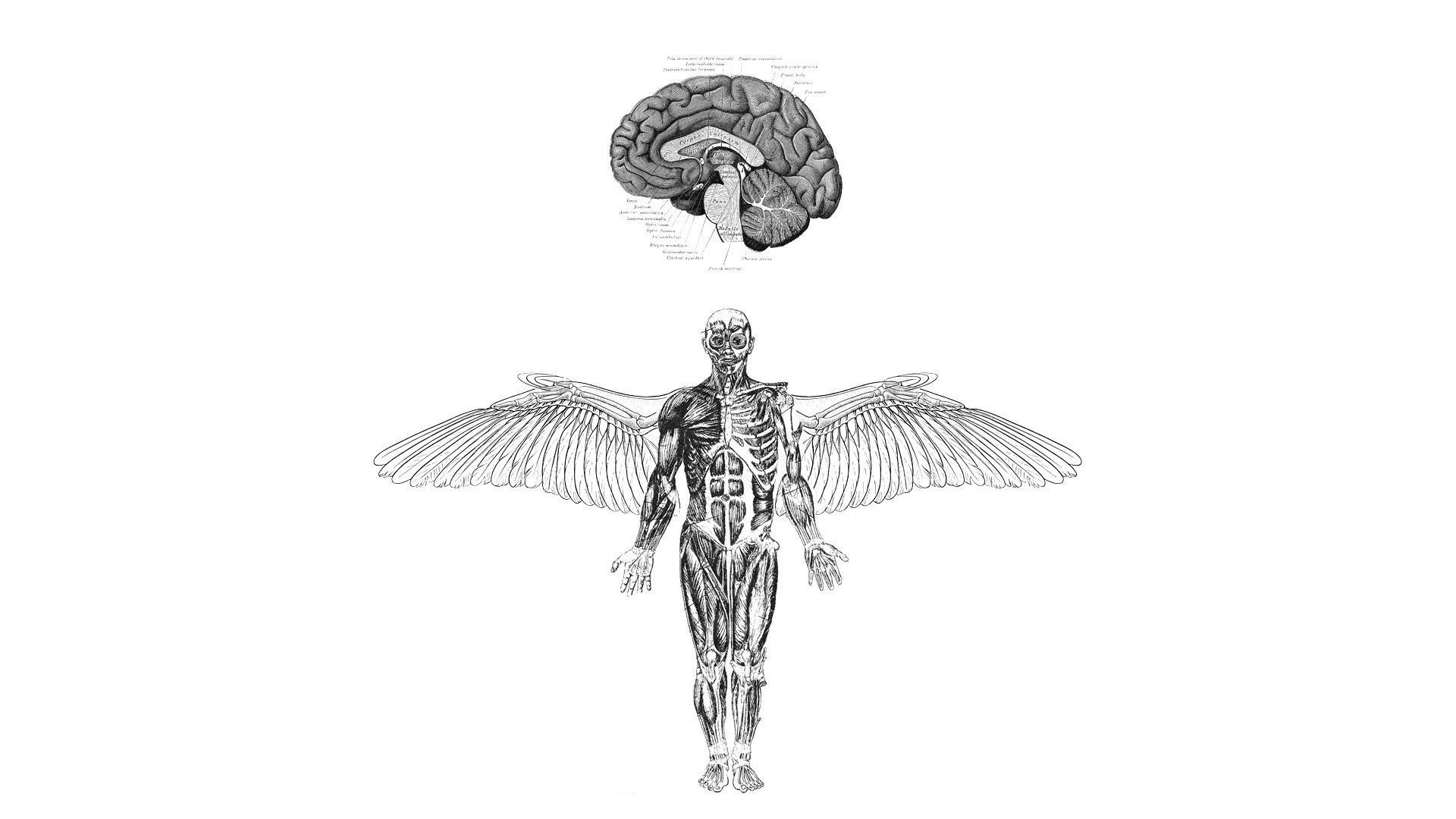 1920x1080 Medical Wallpaper For Desktop (best Medical Wallpaper For Desktop and image) on WallpaperChat