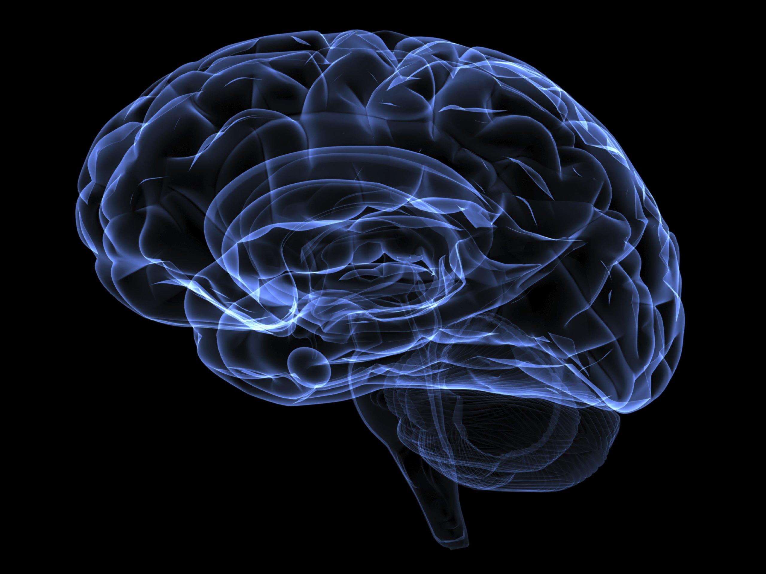2560x1920 brain, Anatomy, Medical, Head, Skull, Digital, 3 d, X ray, Xray, Psychedelic Wallpaper HD / Desktop and Mobile Background