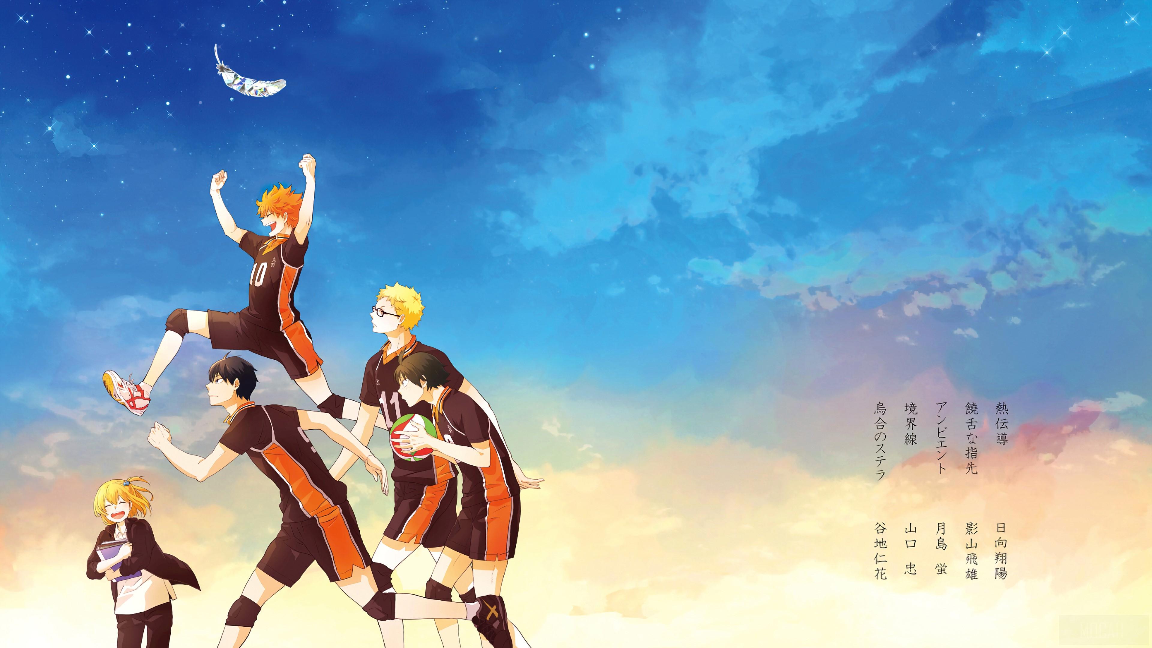3840x2160 Karasuno HD wallpaper, Background