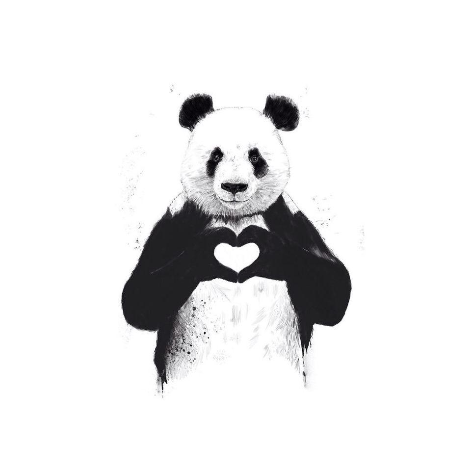 960x960 Panda Love Wallpaper