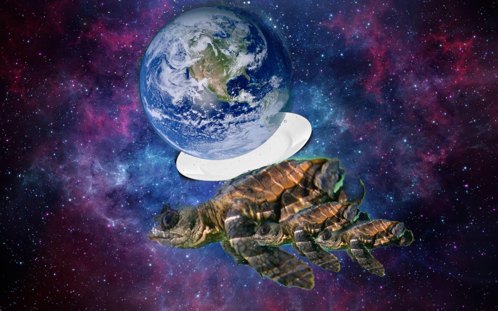 turtles-all-the-way-down-wallpapers-top-free-turtles-all-the-way-down