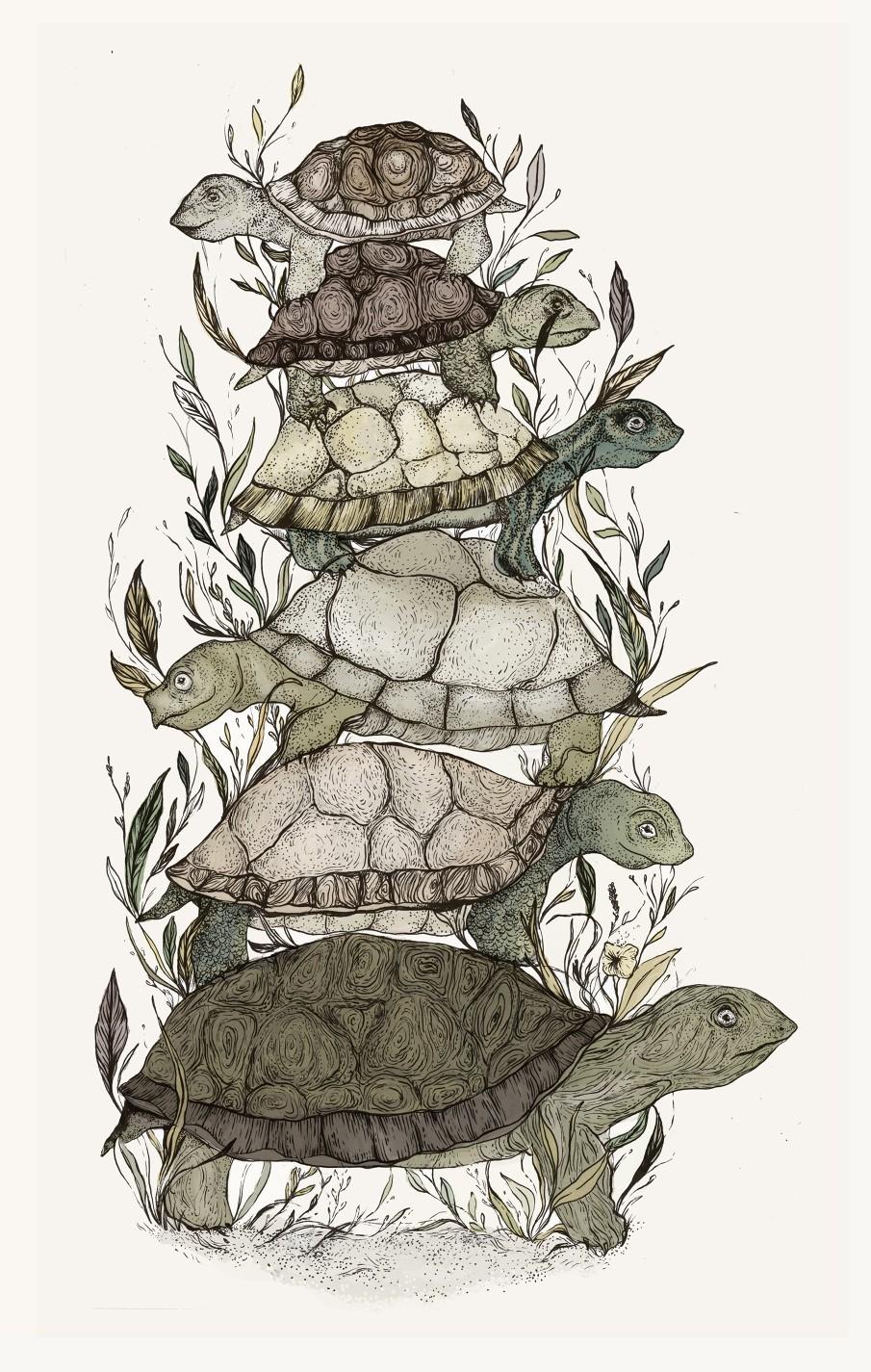 Turtles all the Way Down Wallpapers - Top Free Turtles all the Way Down ...