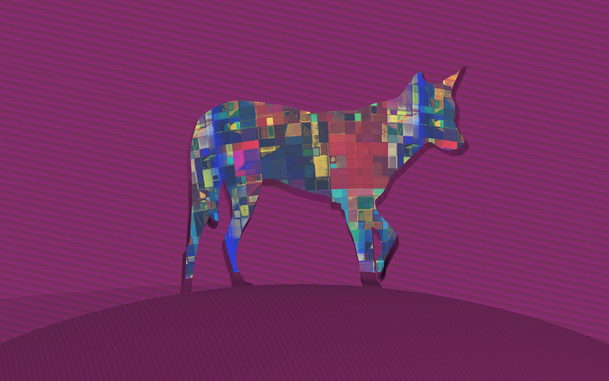 2048x1280 Wallpaper competition Dingo Community Hub