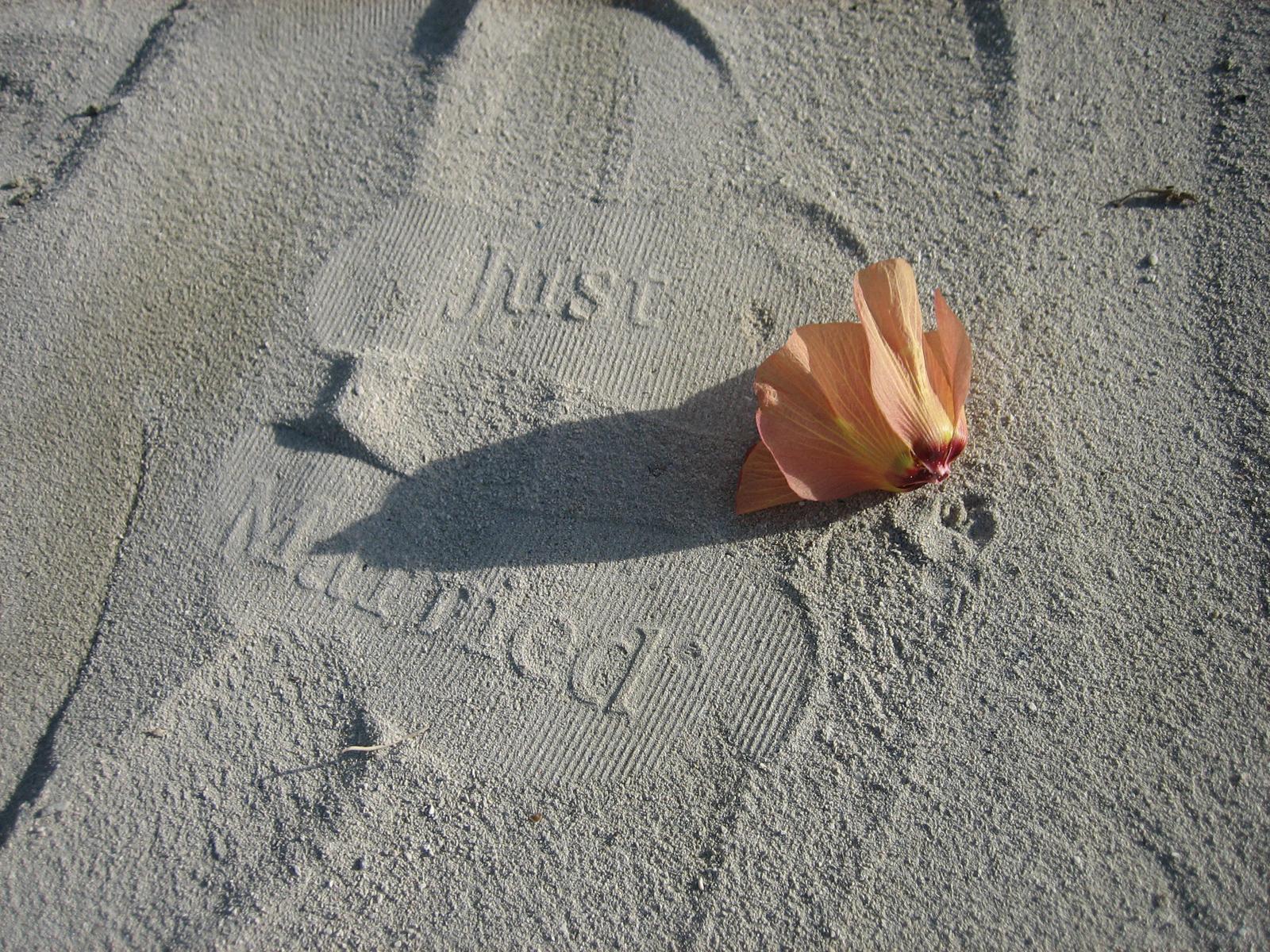 Just Married Wallpapers - Top Free Just Married Backgrounds