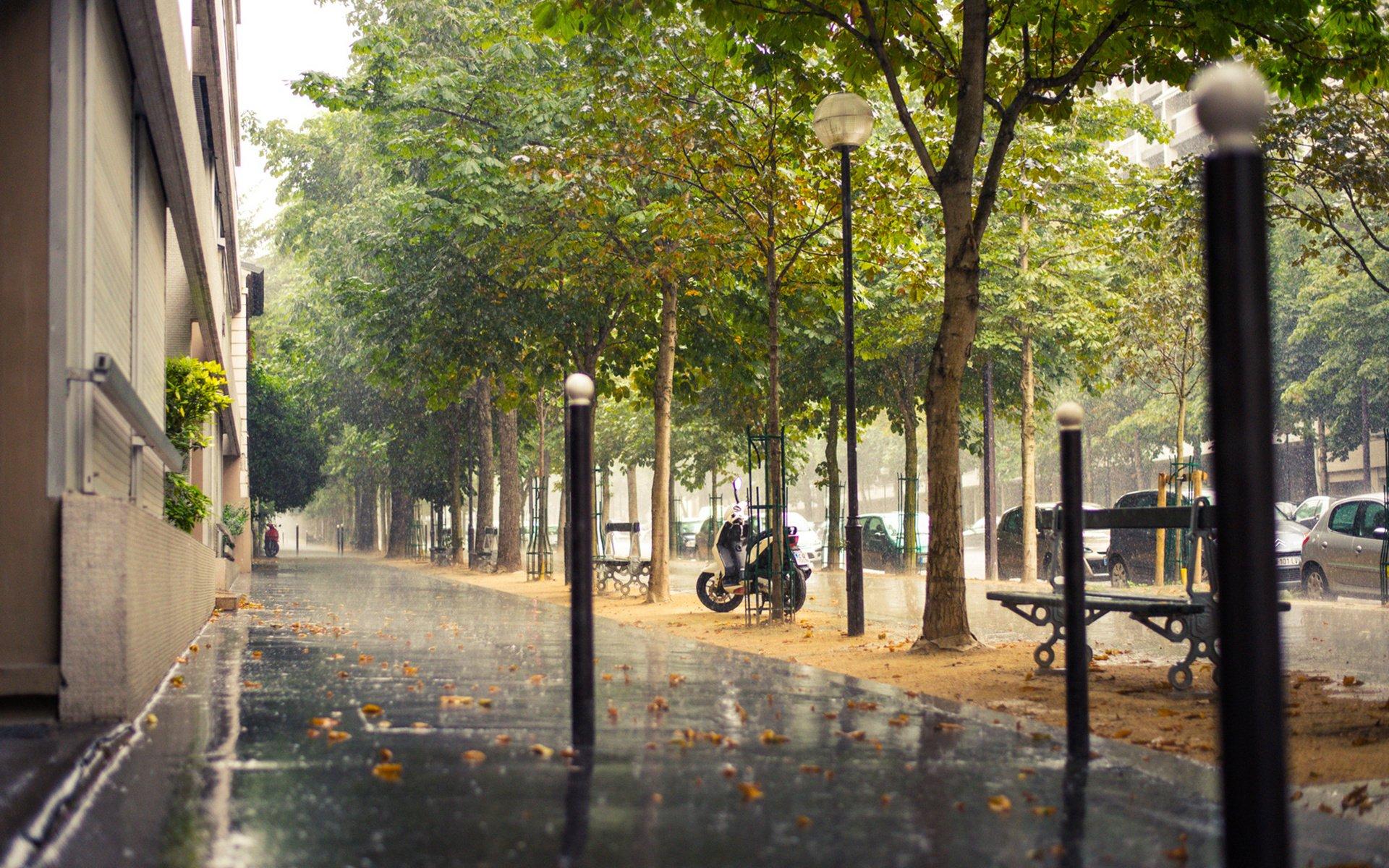 1920x1200 rain, City, Sidewalk, Paris, Paris, France, France, Street Wallpaper HD / Desktop and Mobile Background