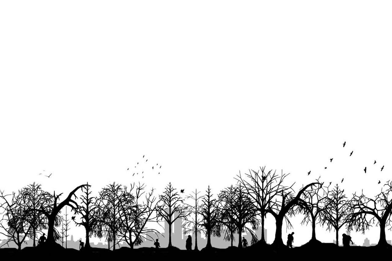 1280x854 Free Download Black and White Wallpaper