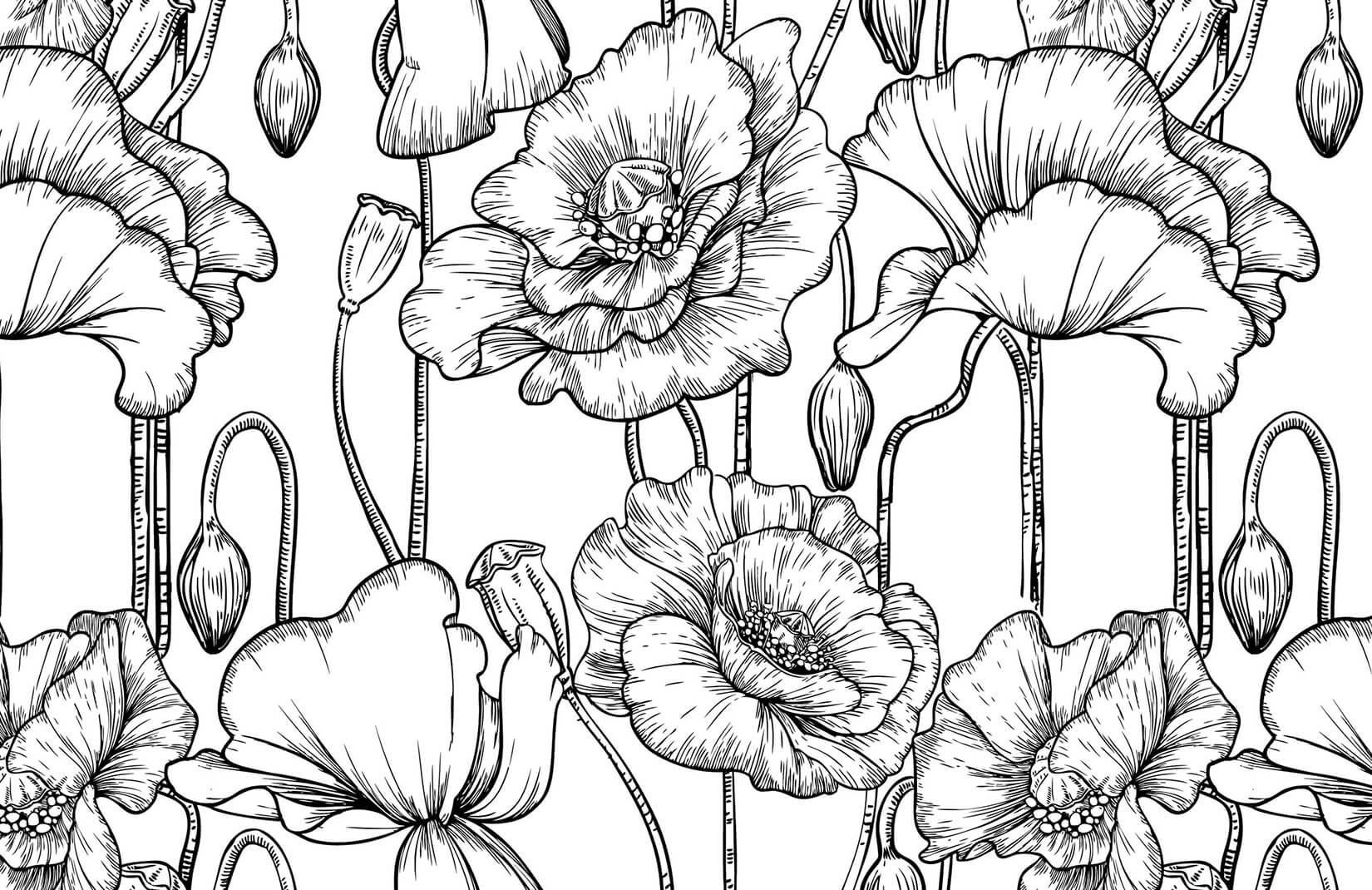 1650x1070 Black & White Illustrated Flowers Wallpaper Mural