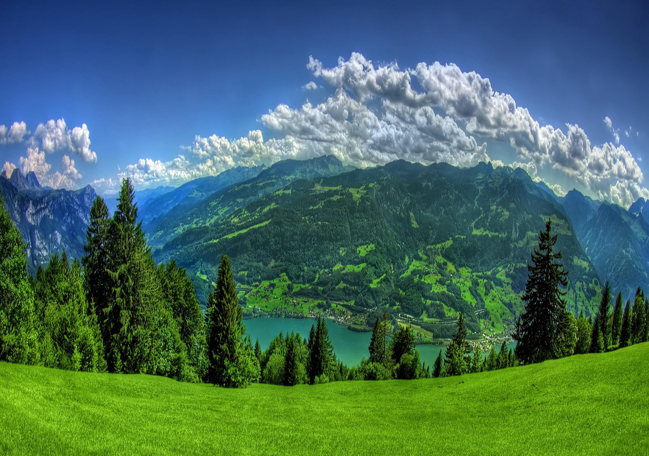 2560x1800 Background HD Wallpaper