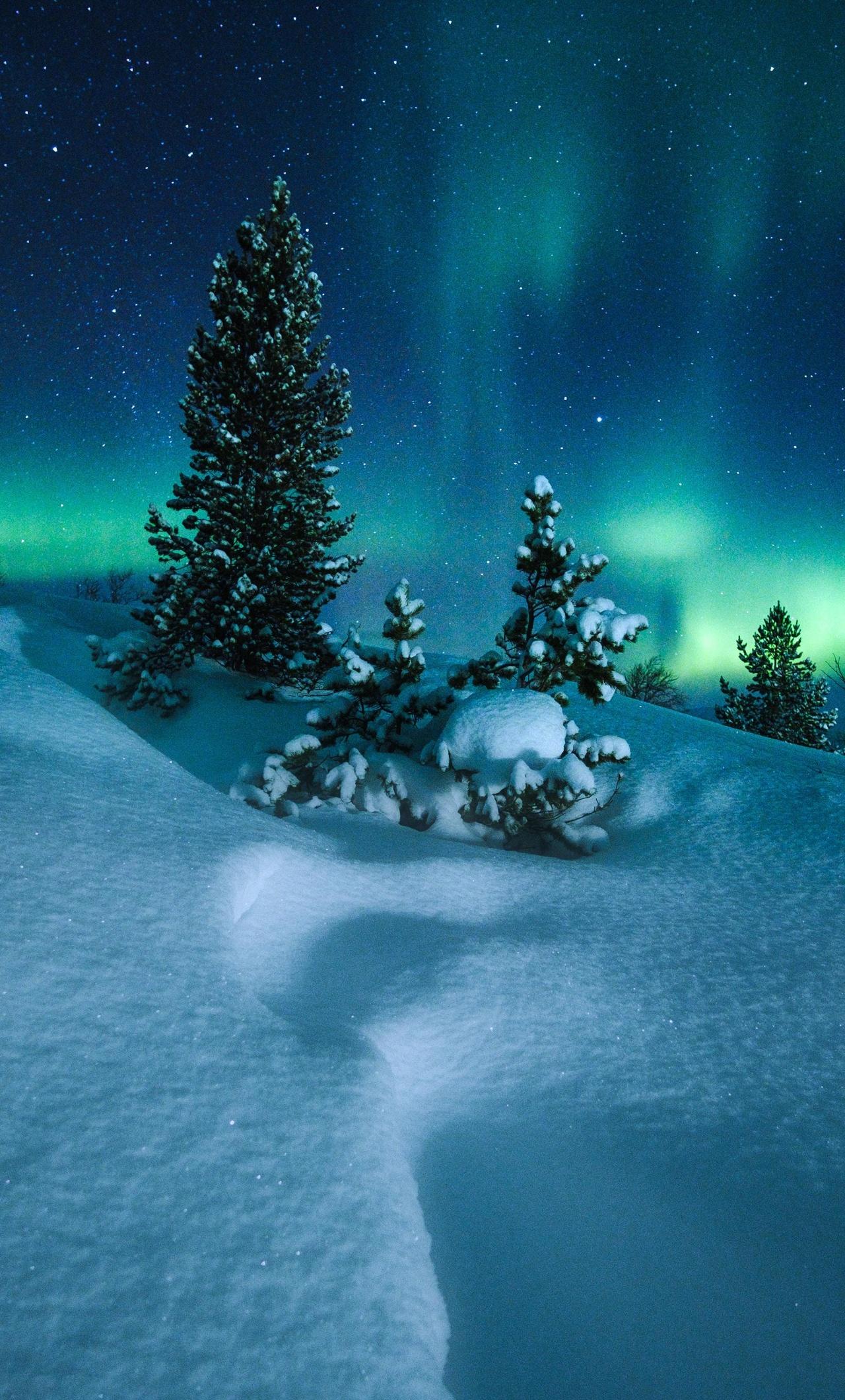 1280x2120 Northern Lights Arctic Circle Norway iPhone HD 4k Wallpaper, Image, Background, Photo and Picture