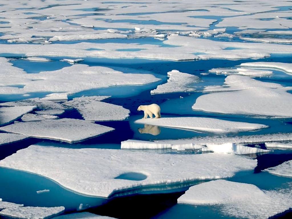 1024x768 Global Warming: Arctic Circle As Hot As Hong Kong Average Temperatures