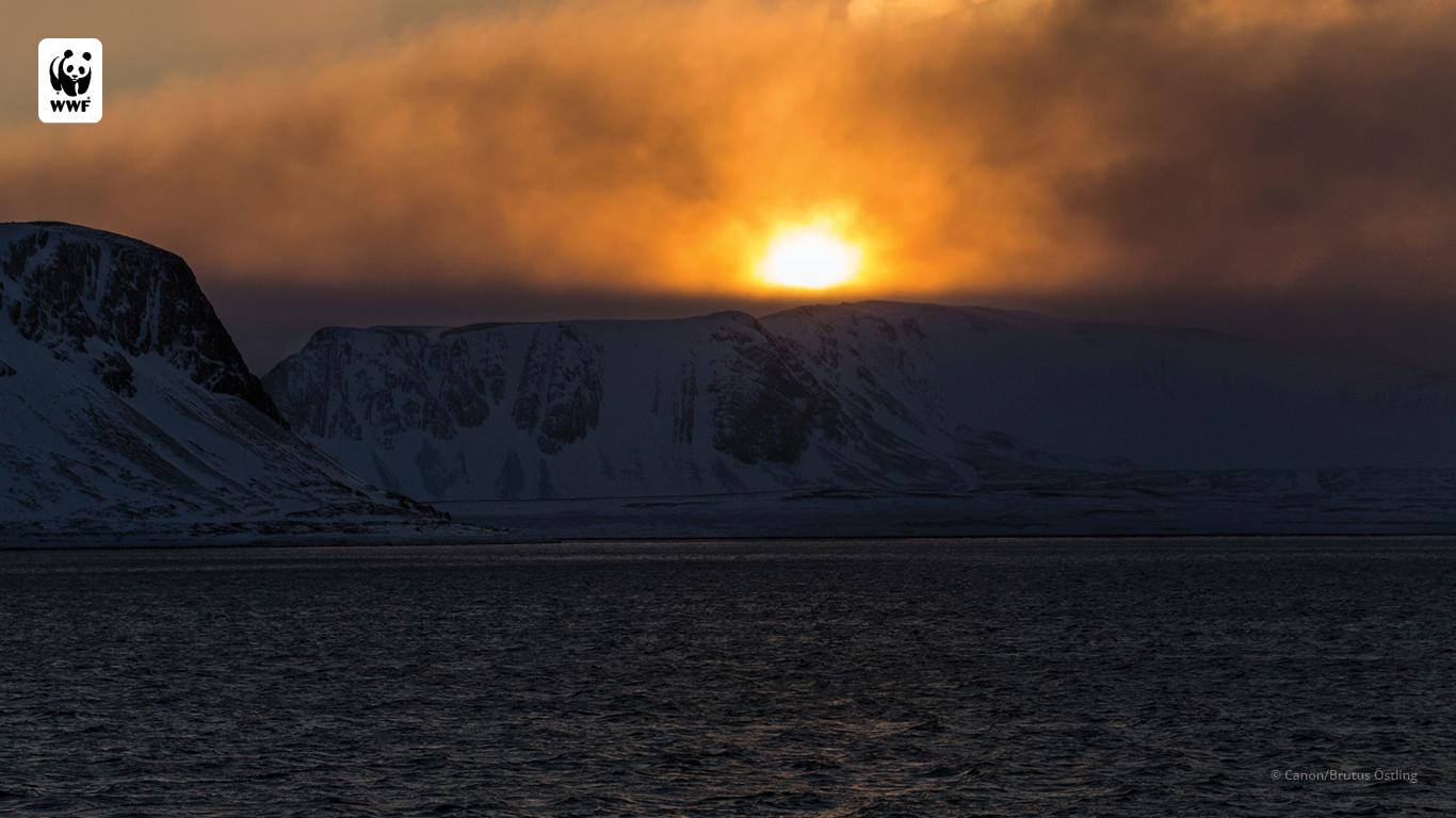 1366x768 WWF Nature Wallpaper Gallery. World Wildlife Fund