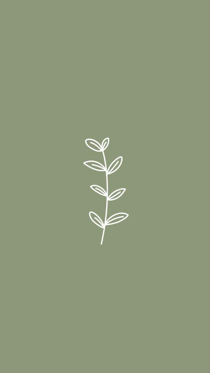 24 Free Sage Green Aesthetic Wallpaper For Your Phone Or IG!​ - Zip Up And  Go!