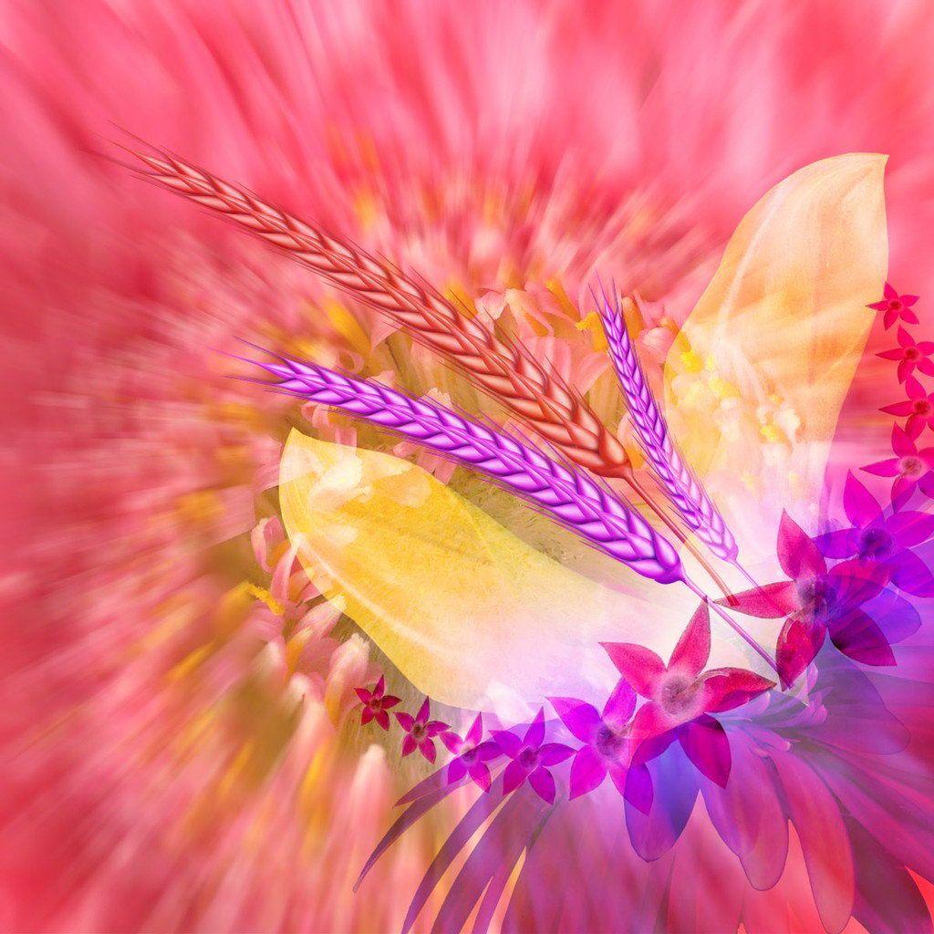 1024x1024 Beautiful 1024×1024 HD Wallpaper for Tablets