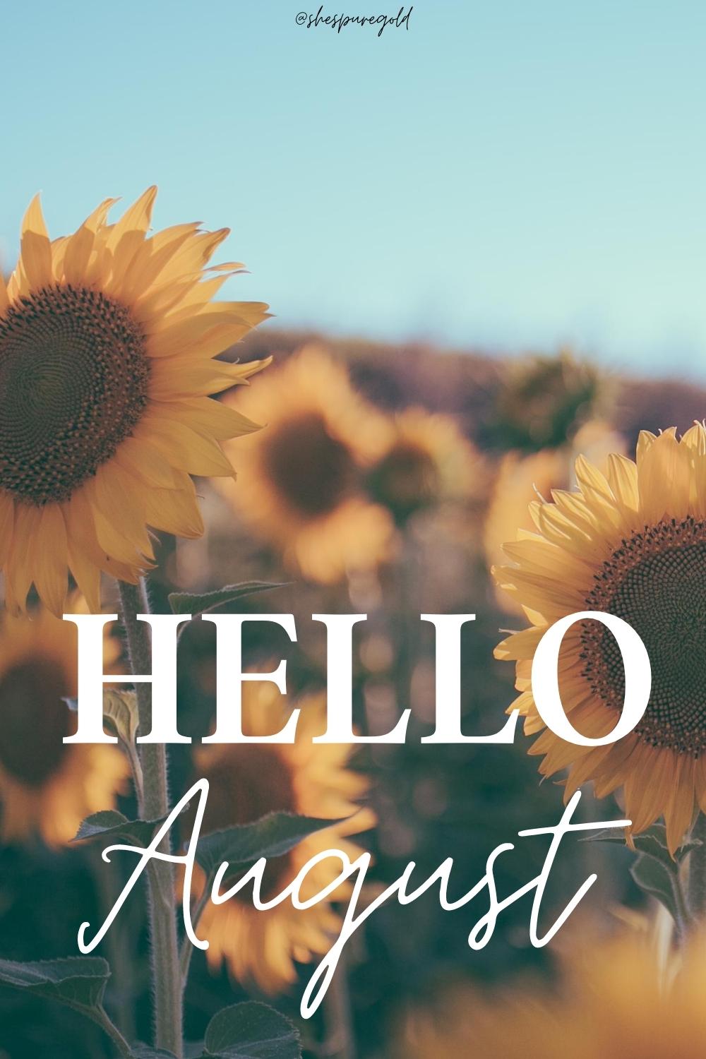 August 2022 Calendar iPhone Wallpapers HD  PixelsTalkNet