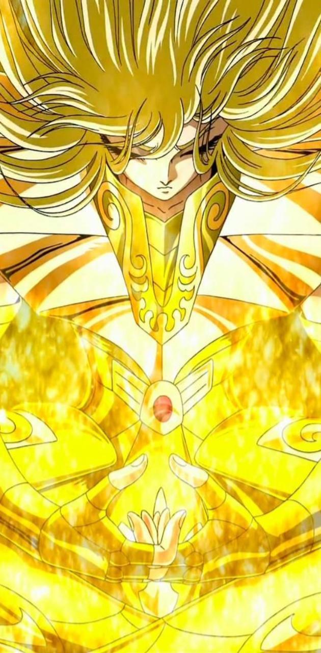 630x1280 Shaka de Virgo wallpaper