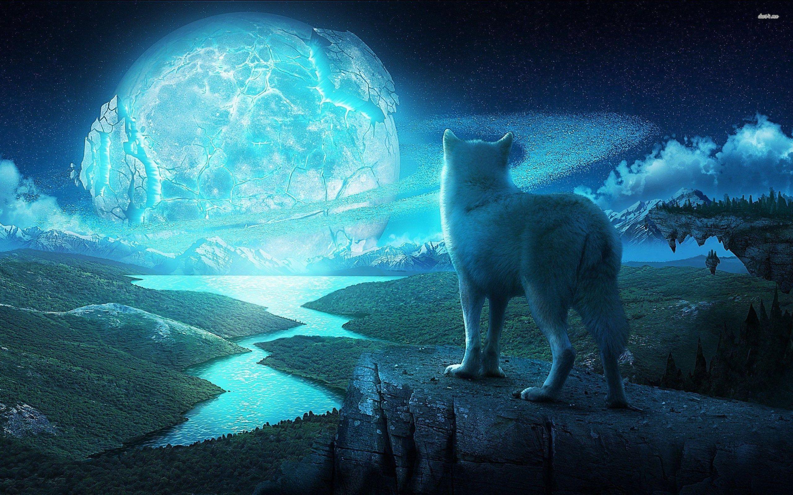 Night Wolf Wallpapers Top Free Night Wolf Backgrounds Wallpaperaccess