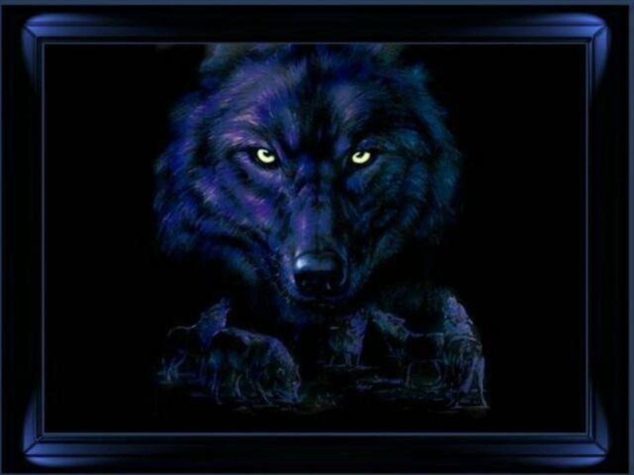Night Wolf Wallpapers - Top Free Night Wolf Backgrounds - Wallpaperaccess