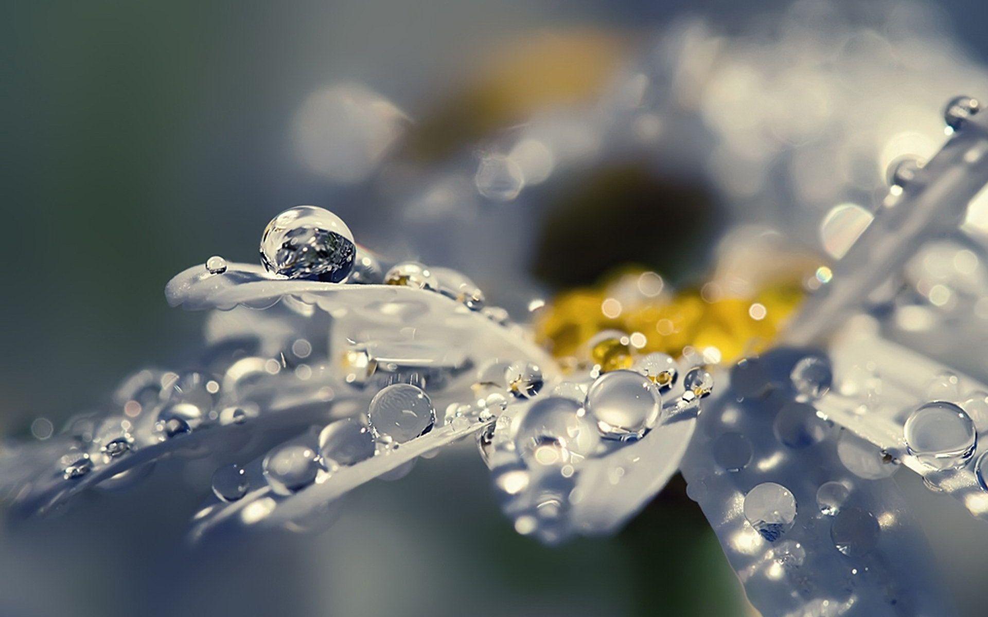 1920x1200 Beautiful HD Wallpaper