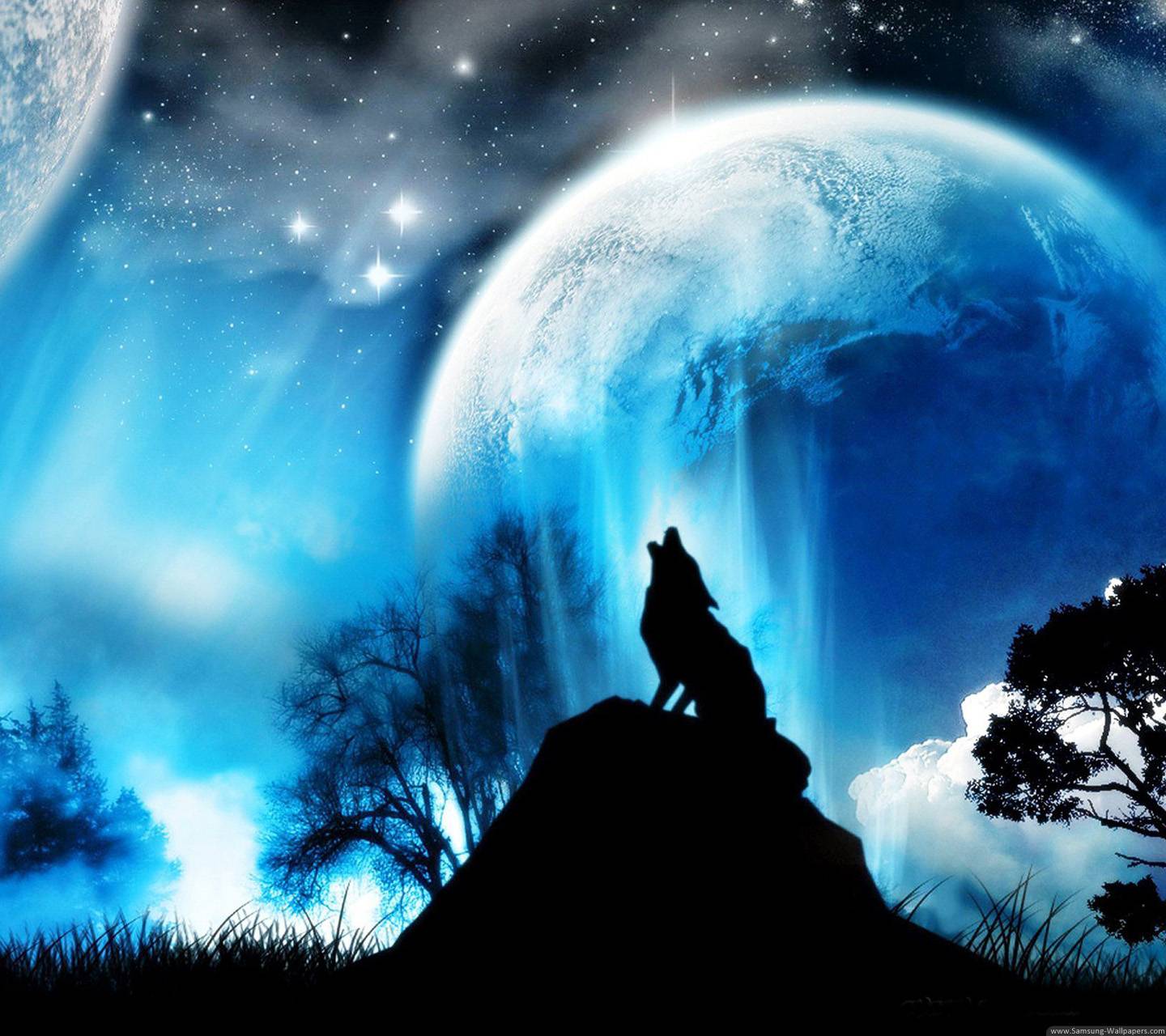 Night Wolf Wallpapers Top Free Night Wolf Backgrounds WallpaperAccess