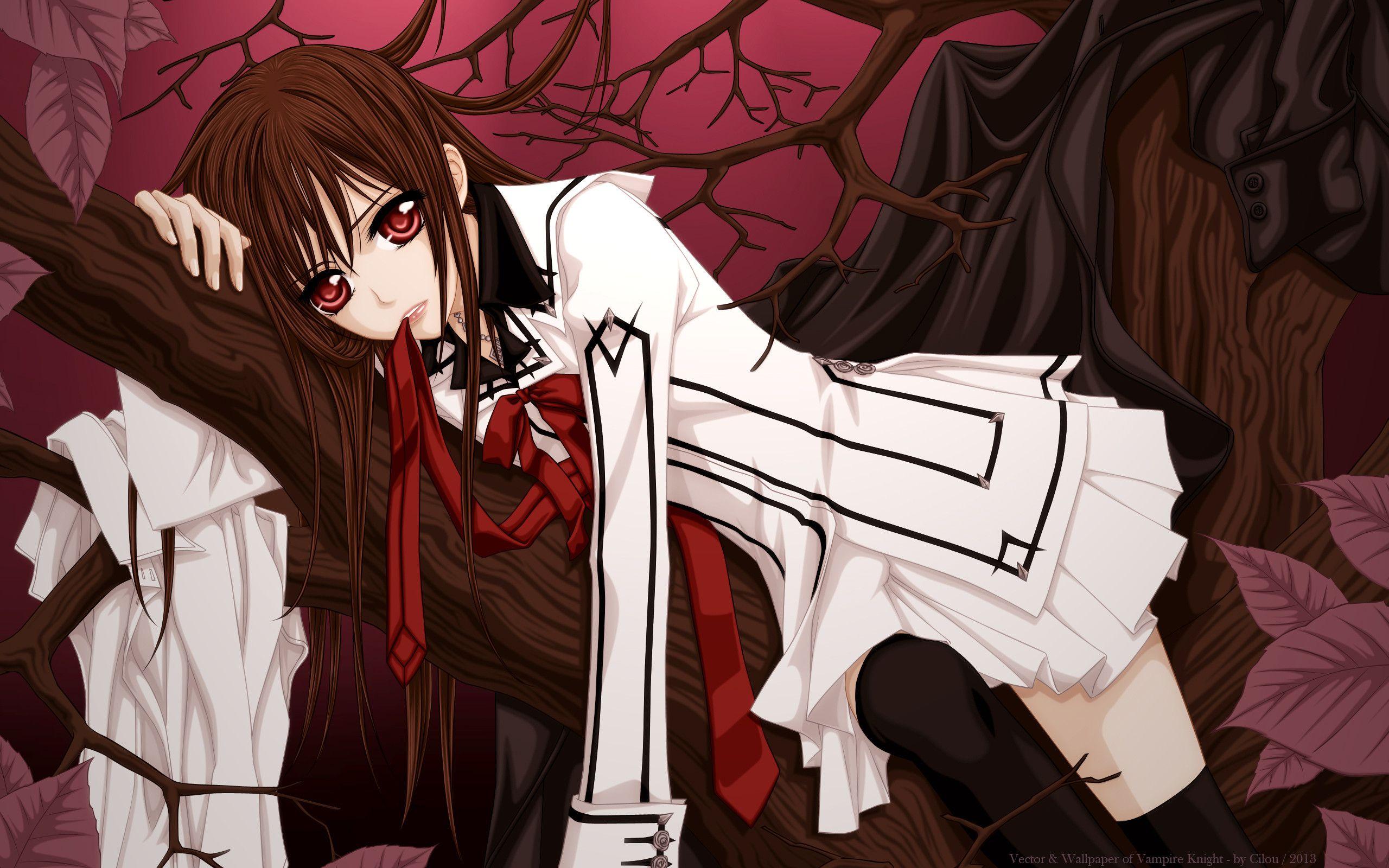2560x1600 Vampire Knight Wallpaper