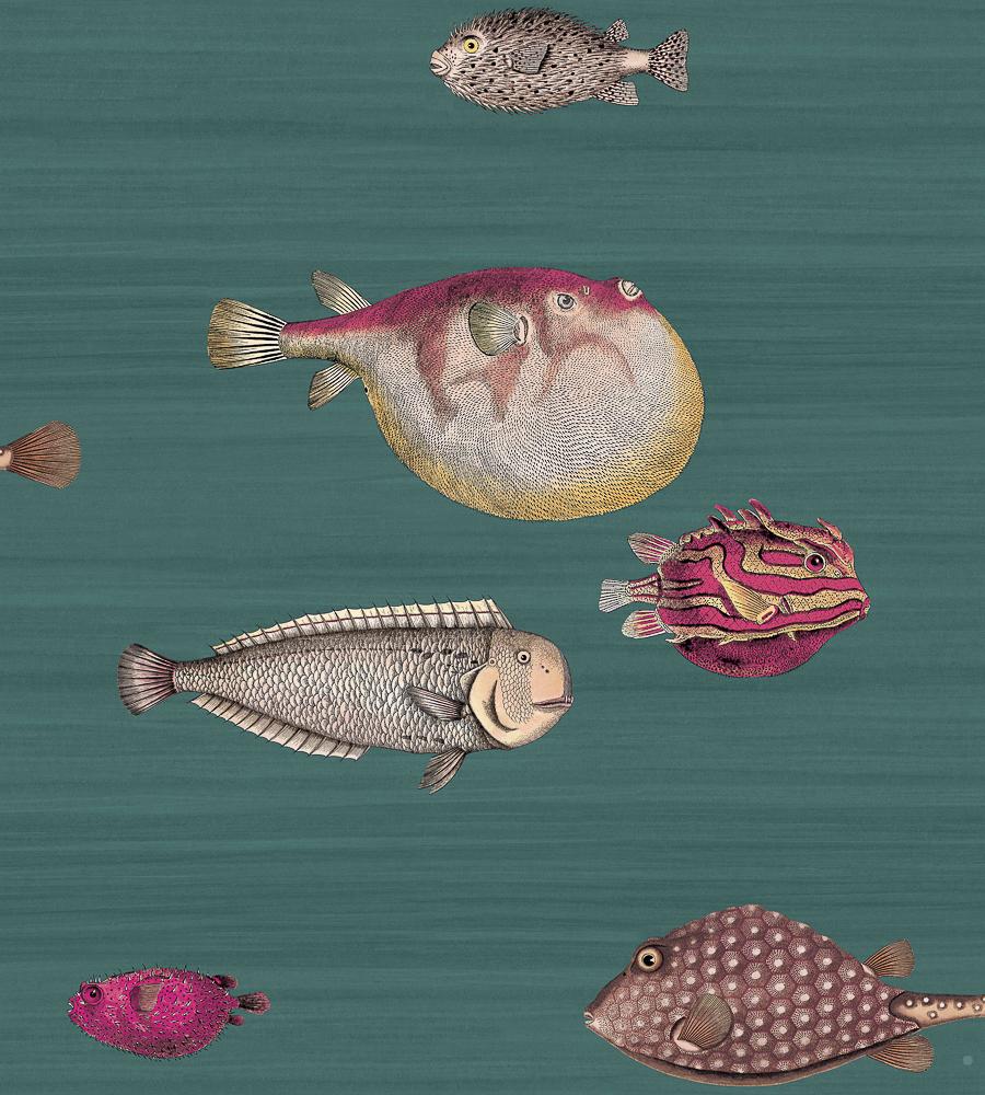 900x1000 Acquario wallpaper. Fornasetti. Cole & Son