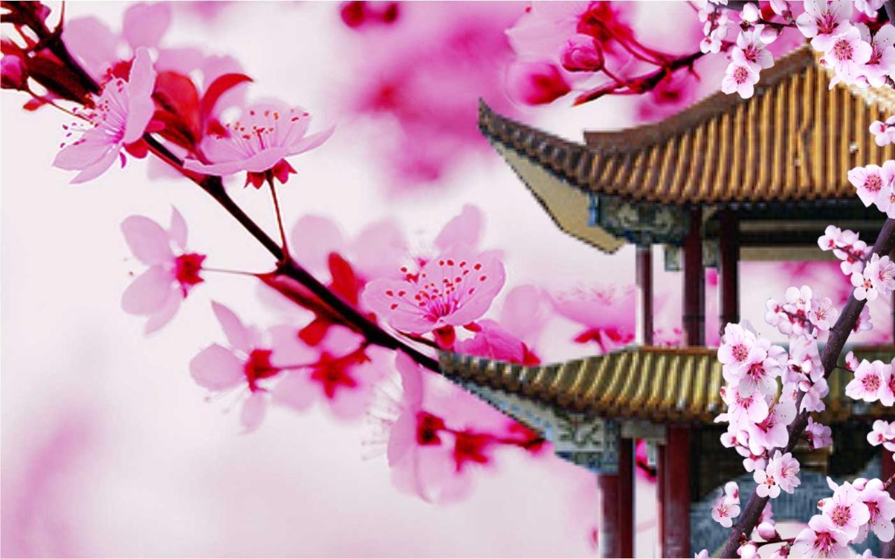 Free Fire Sakura Wallpapers - Top Free Free Fire Sakura Backgrounds