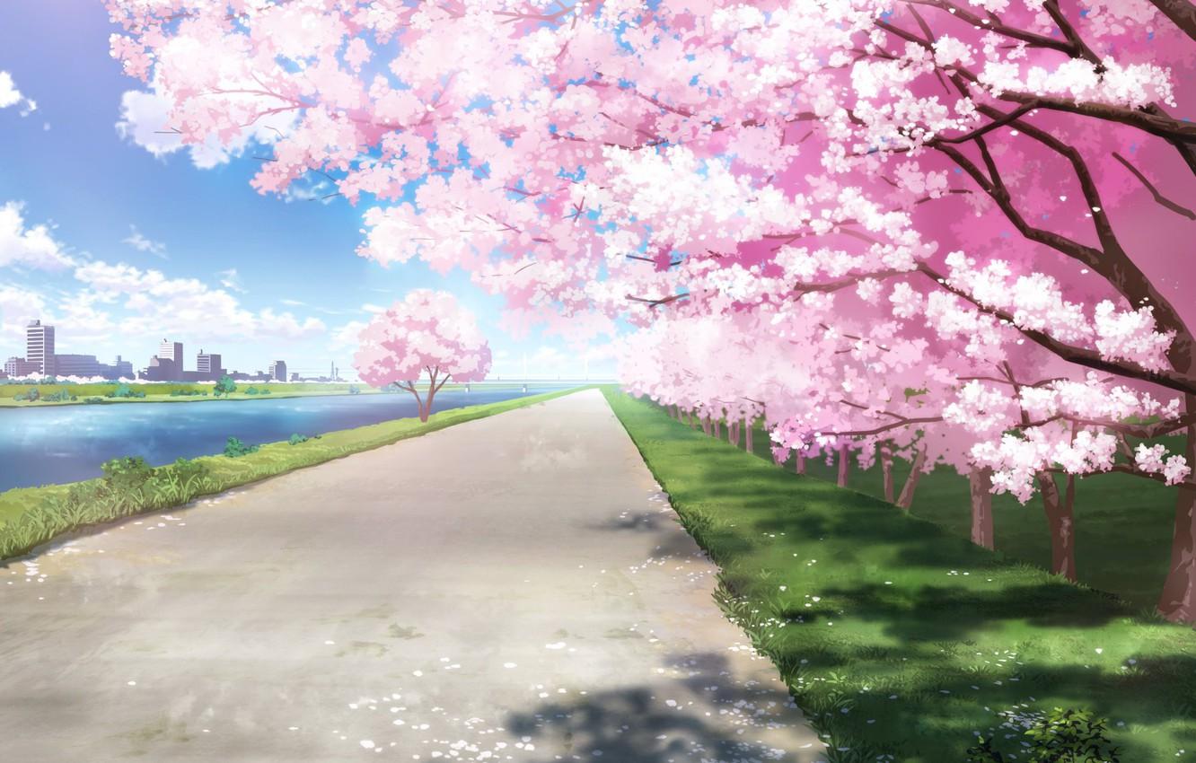 1332x850 Wallpaper the city, river, spring, Sakura image for desktop, section арт